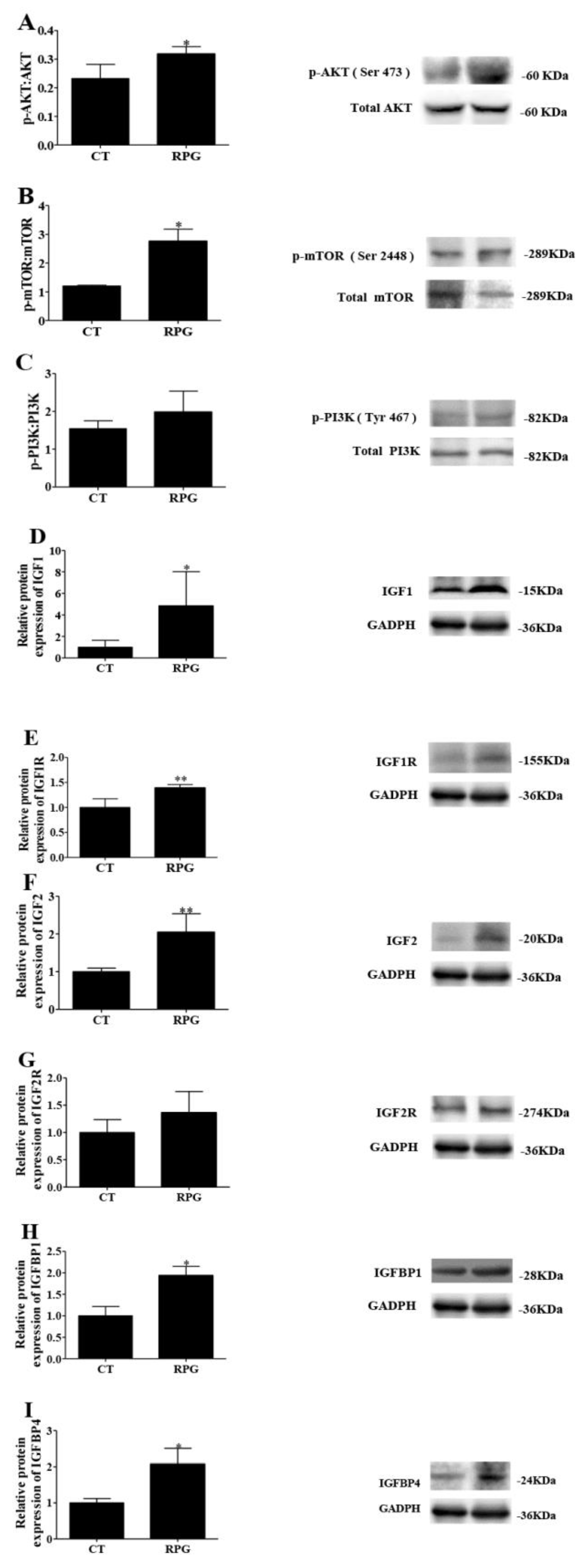 Animals 10 00357 g004 Animals 10 00357 g004
