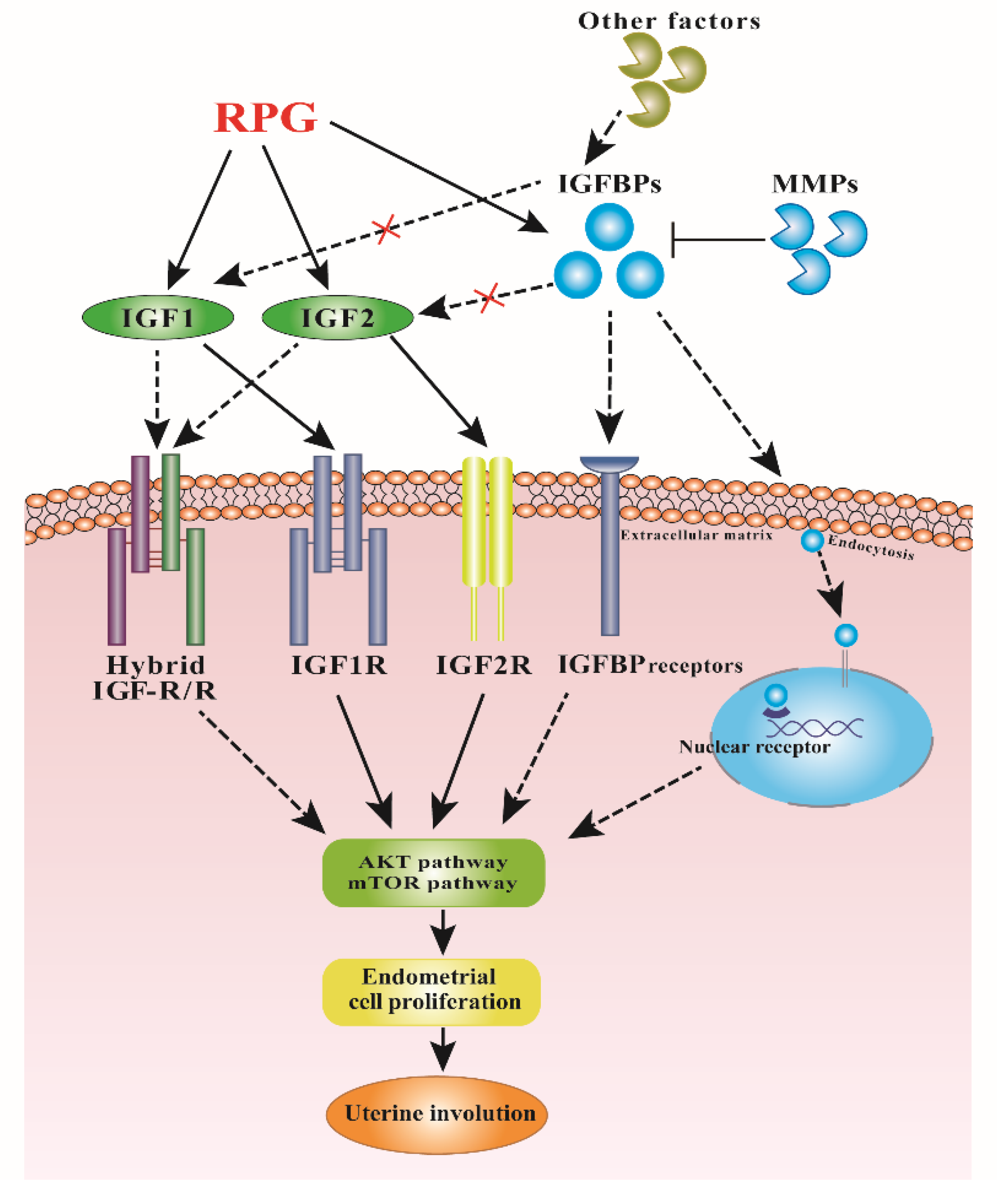Animals 10 00357 g006 Animals 10 00357 g006