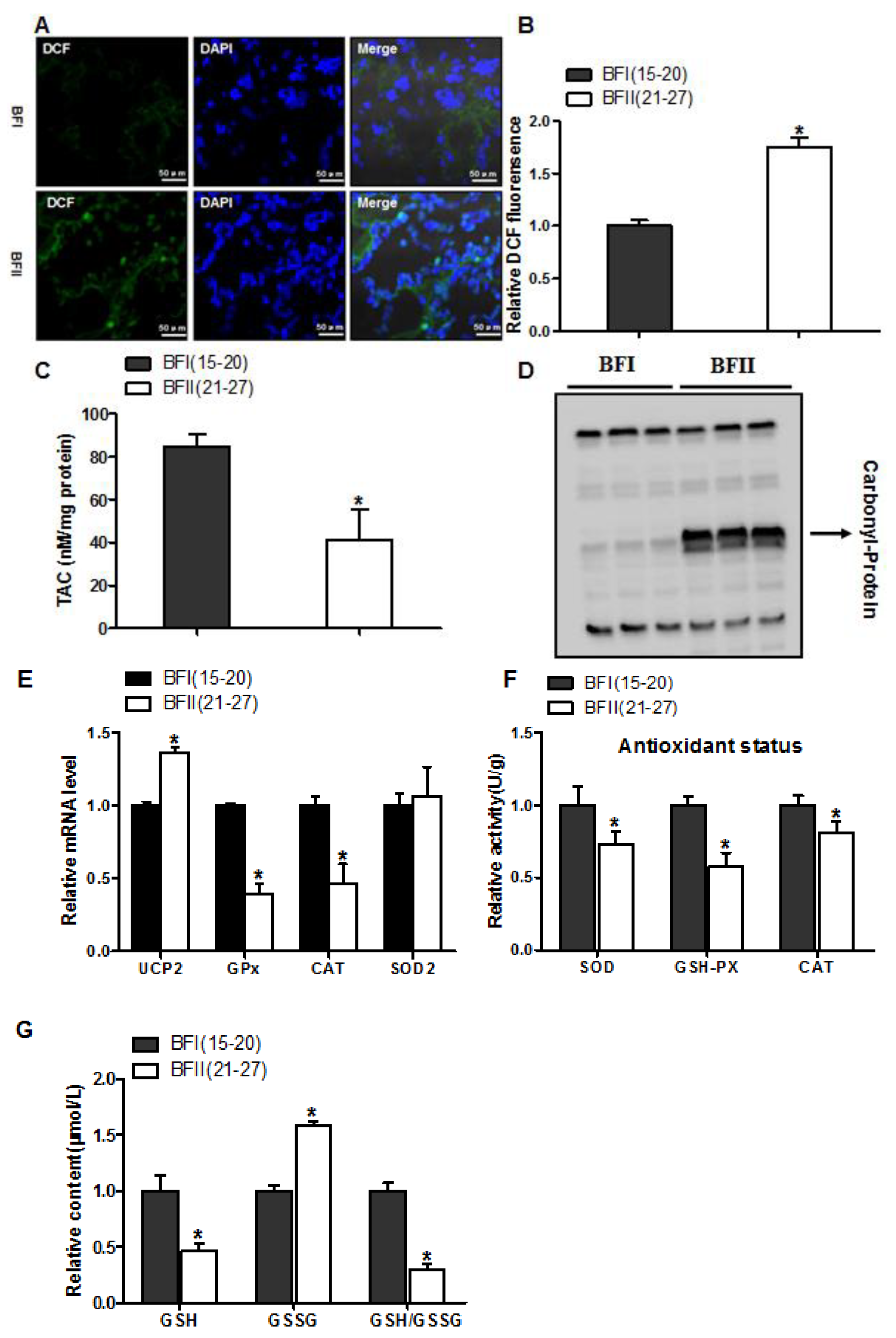 Animals 10 00360 g001