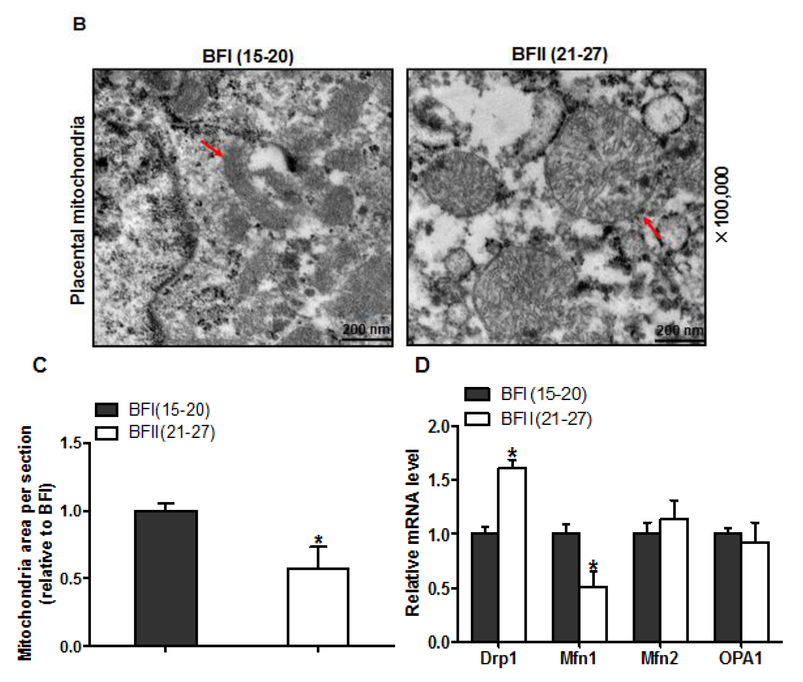 Animals 10 00360 g004b