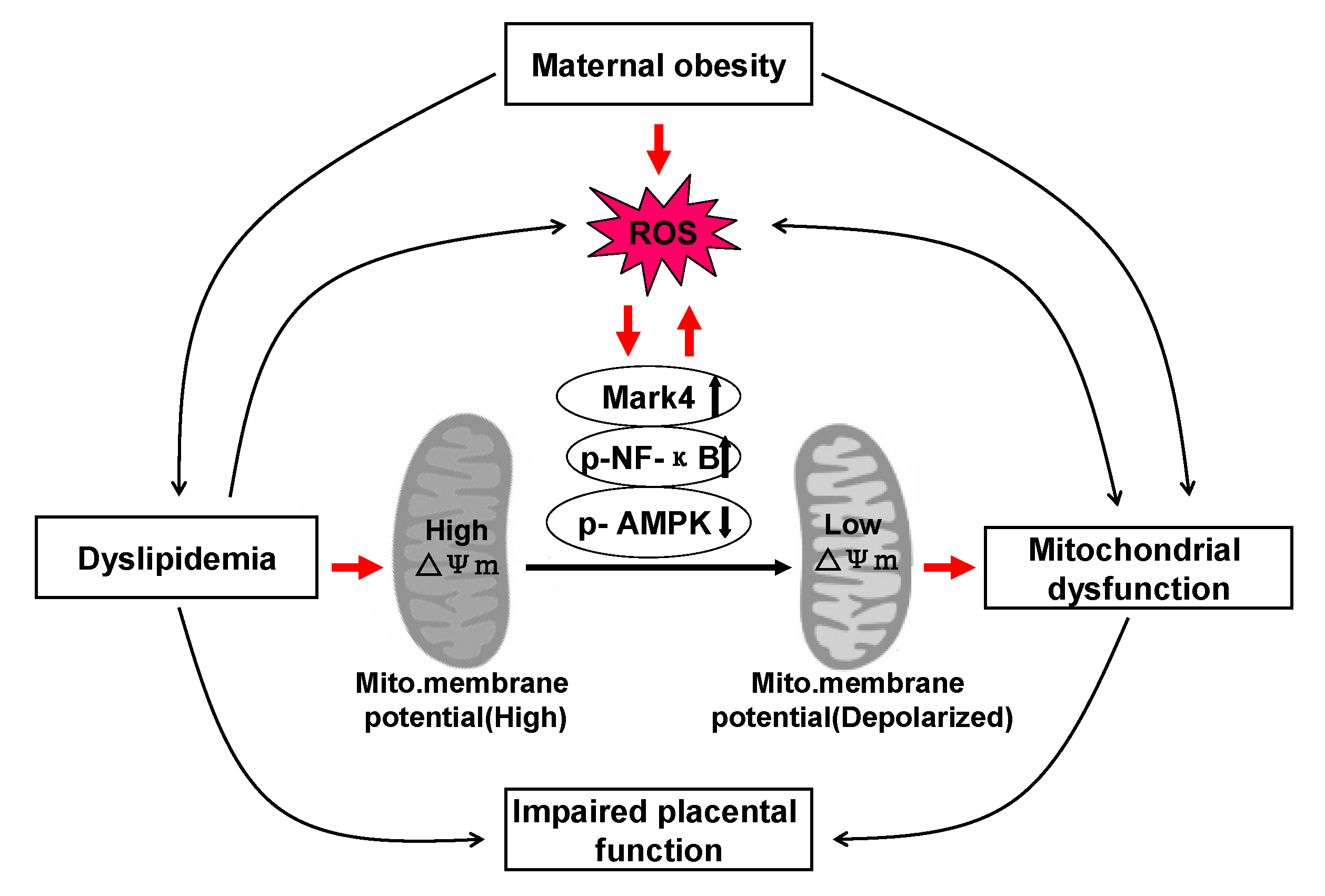 Animals 10 00360 g006