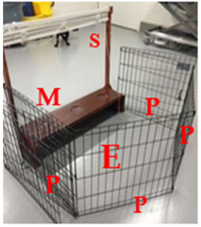 Animals 10 00397 g001