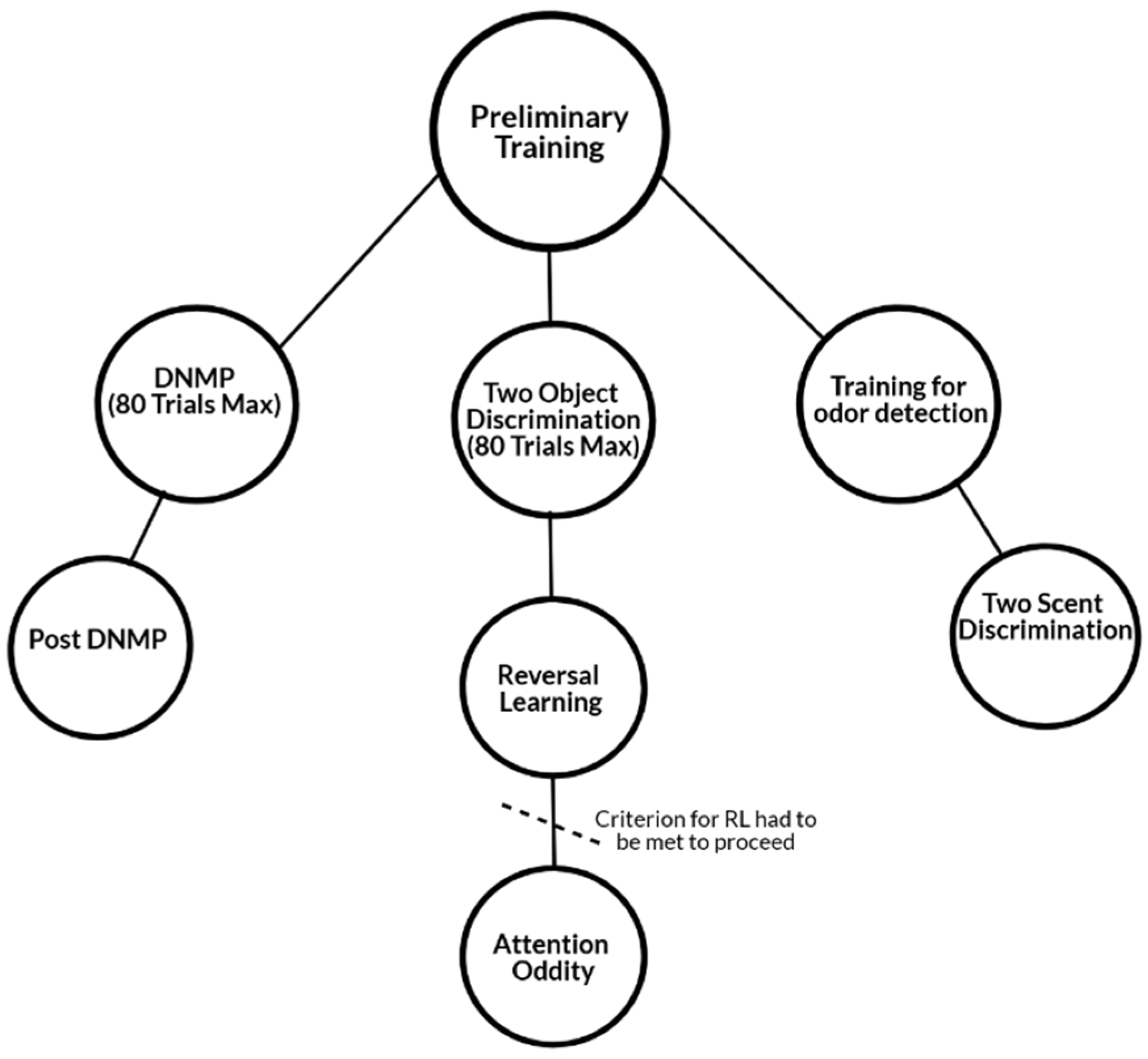 Animals 10 00397 g003