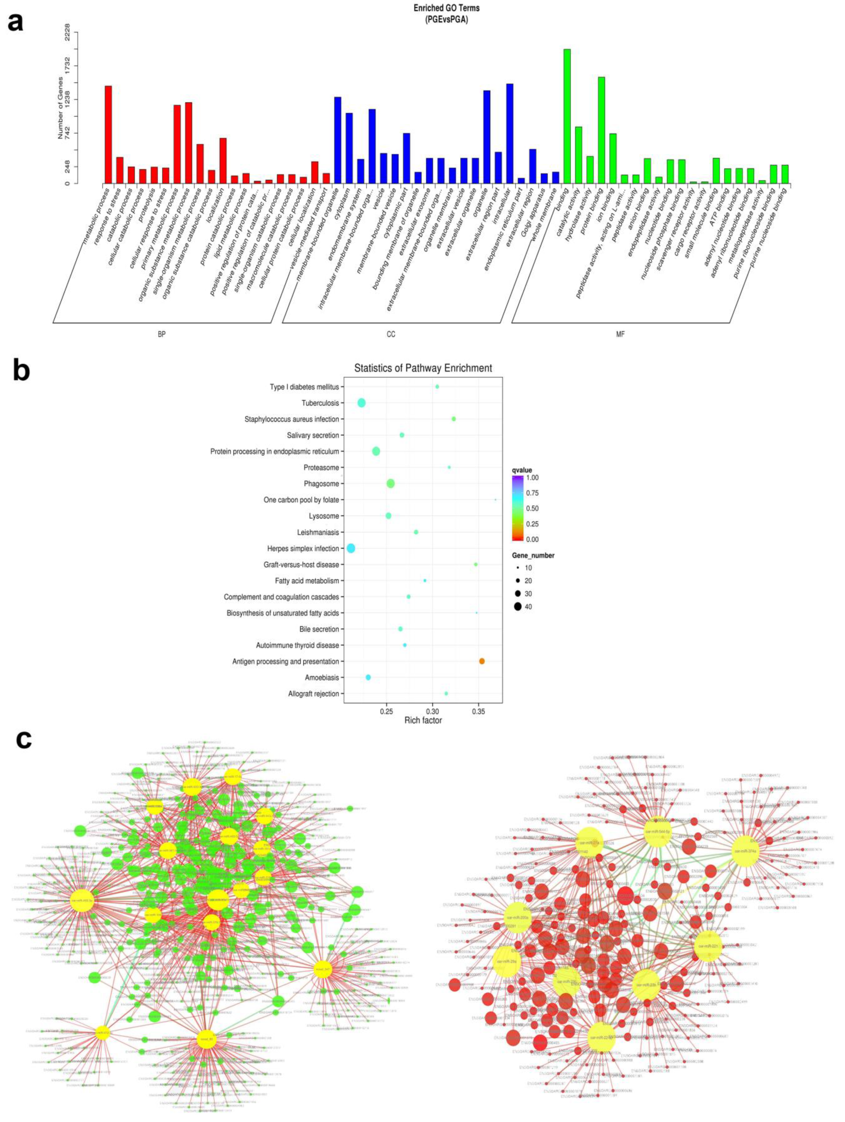 Animals 10 00402 g007 Animals 10 00402 g007