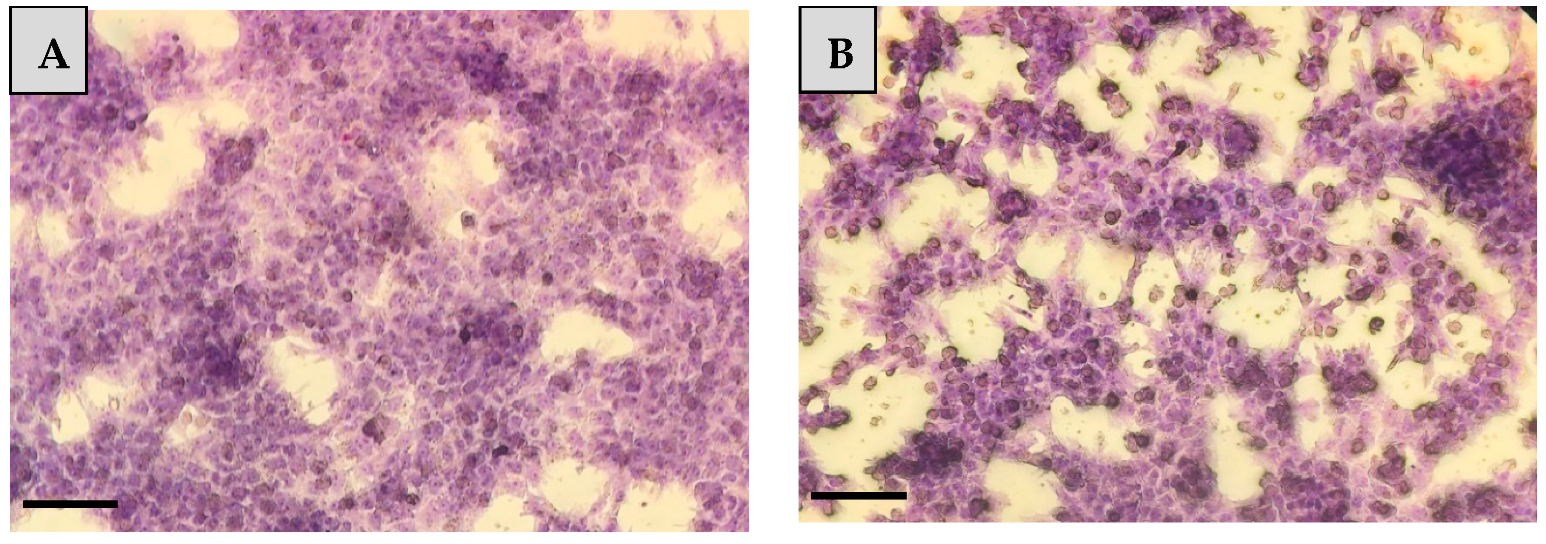 Animals 10 00409 g001