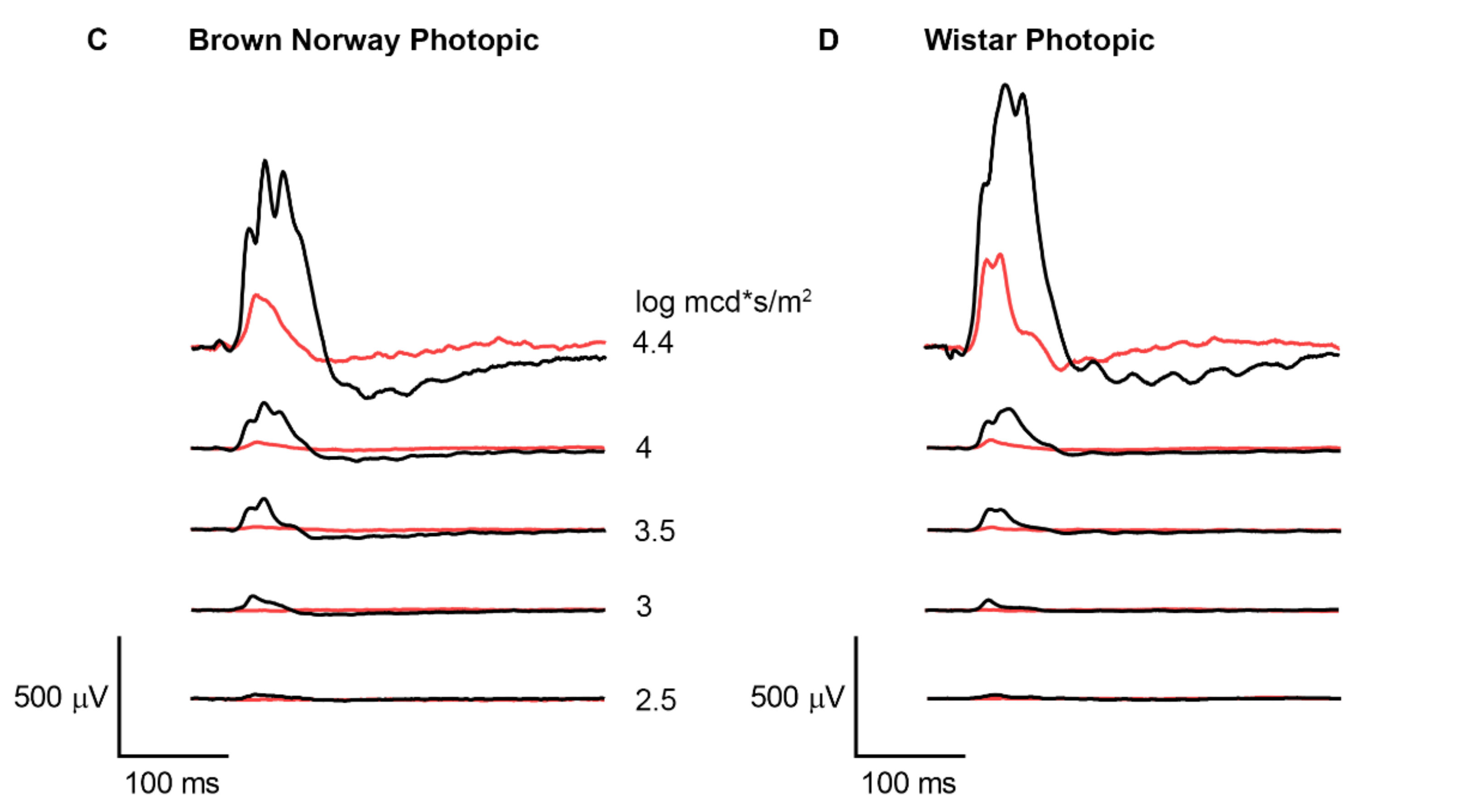 Animals 10 00422 g001b