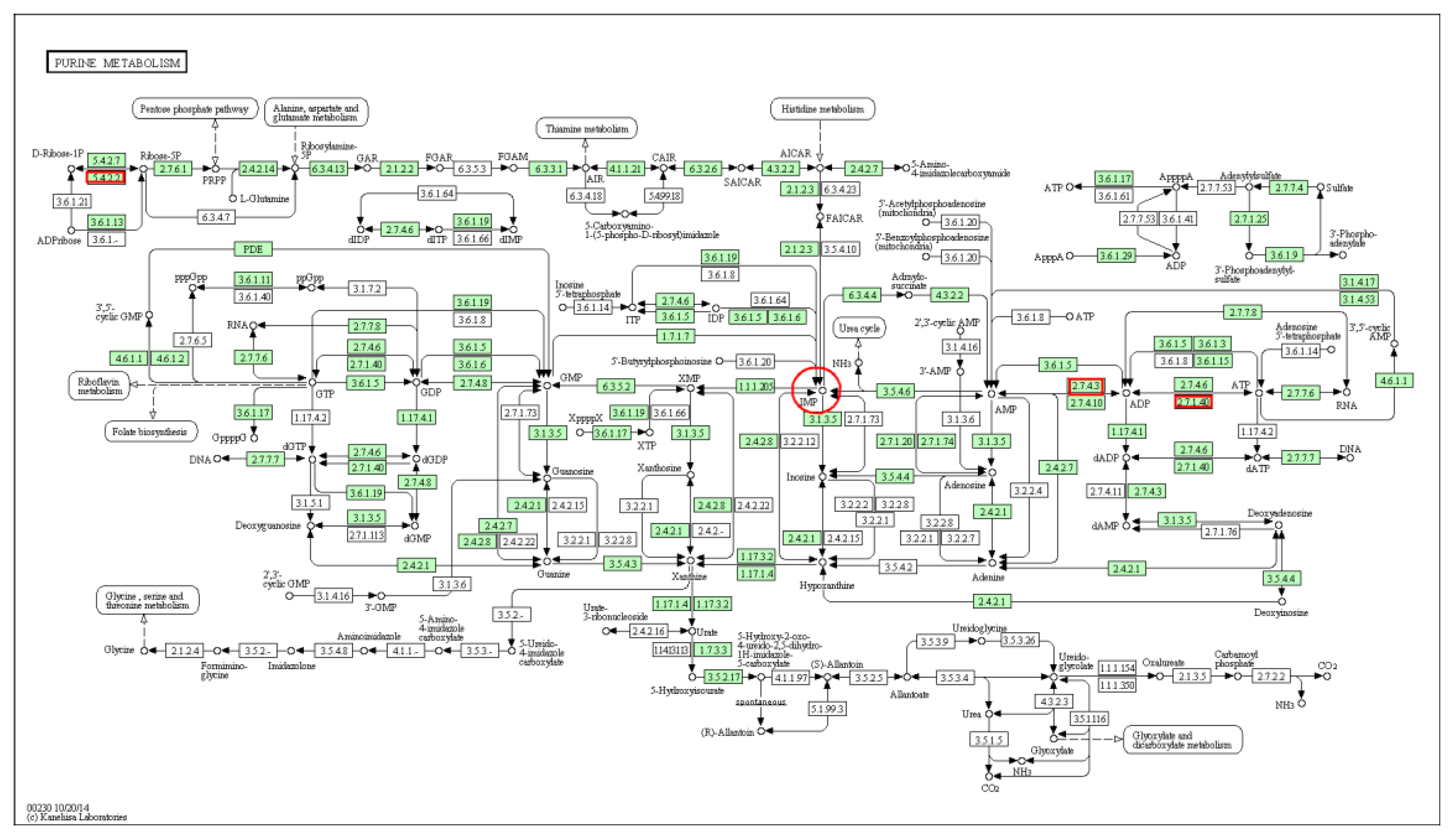 Animals 10 00439 g003 Animals 10 00439 g003