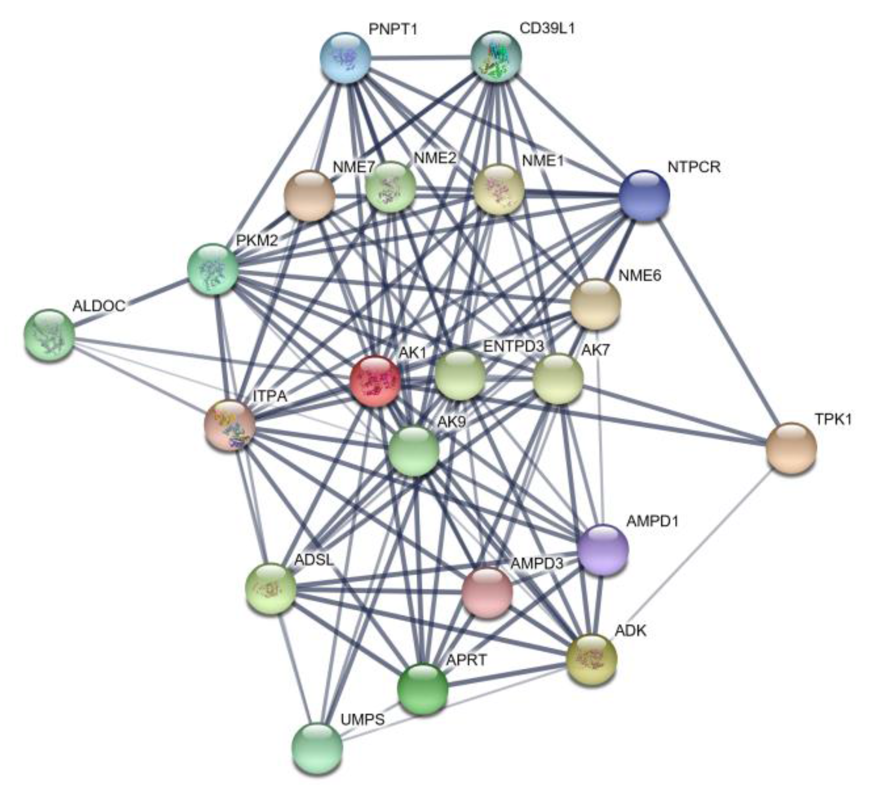 Animals 10 00439 g004 Animals 10 00439 g004