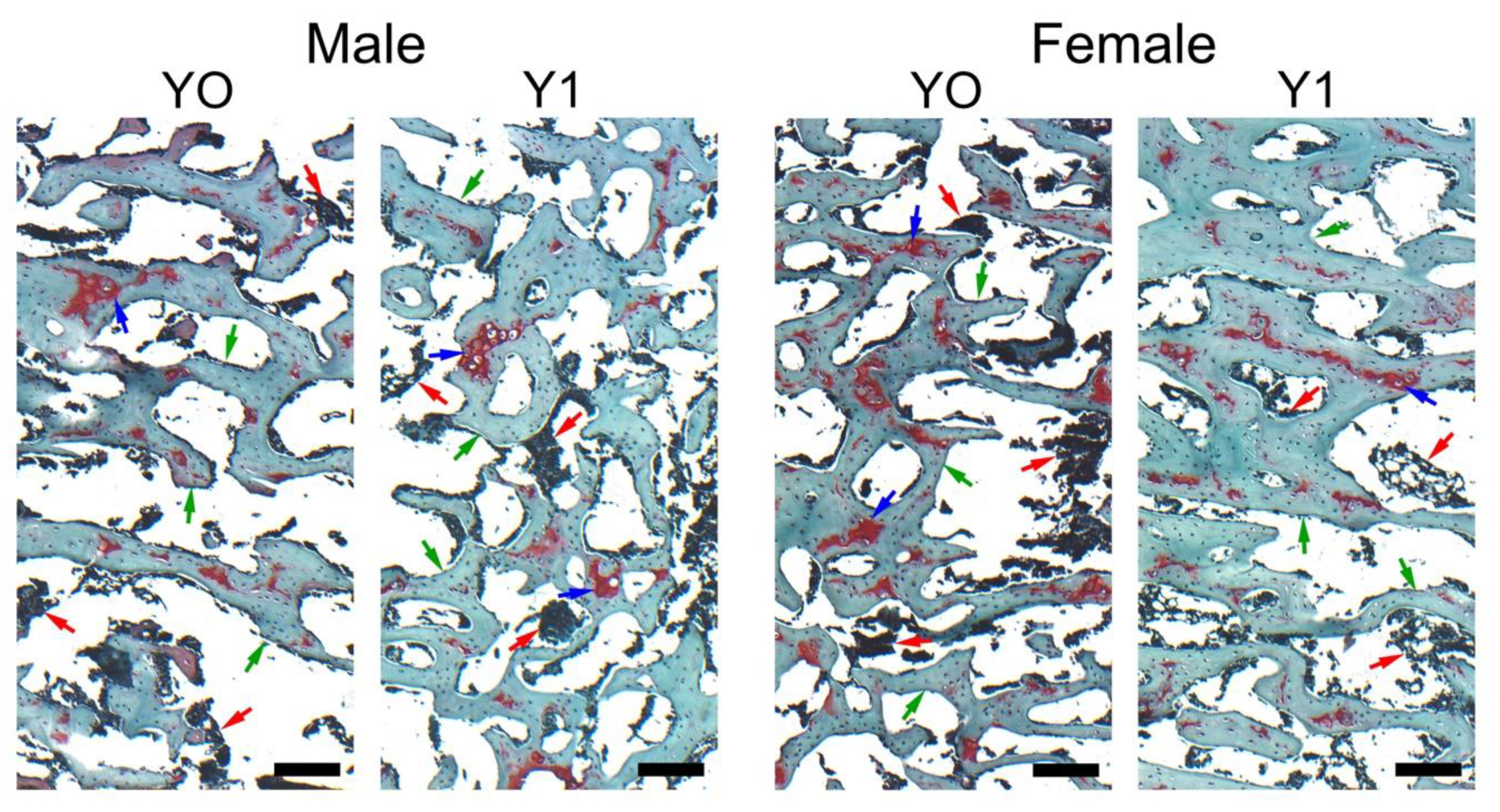 Animals 10 00440 g001 Animals 10 00440 g001