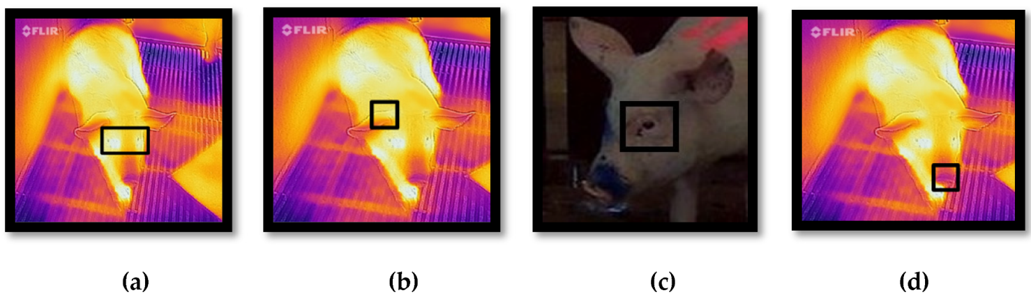 Animals 10 00451 g001