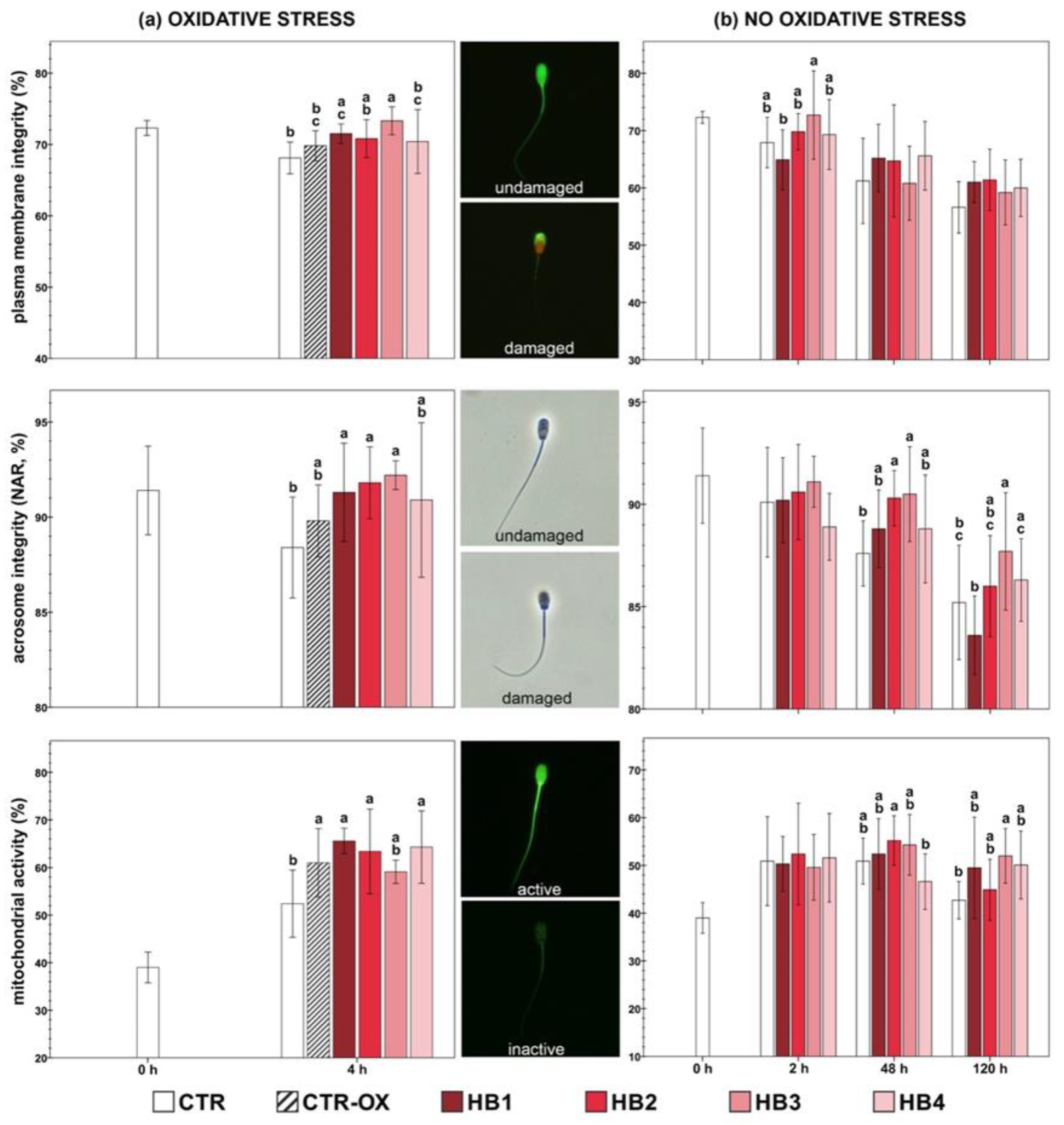Animals 10 00463 g002