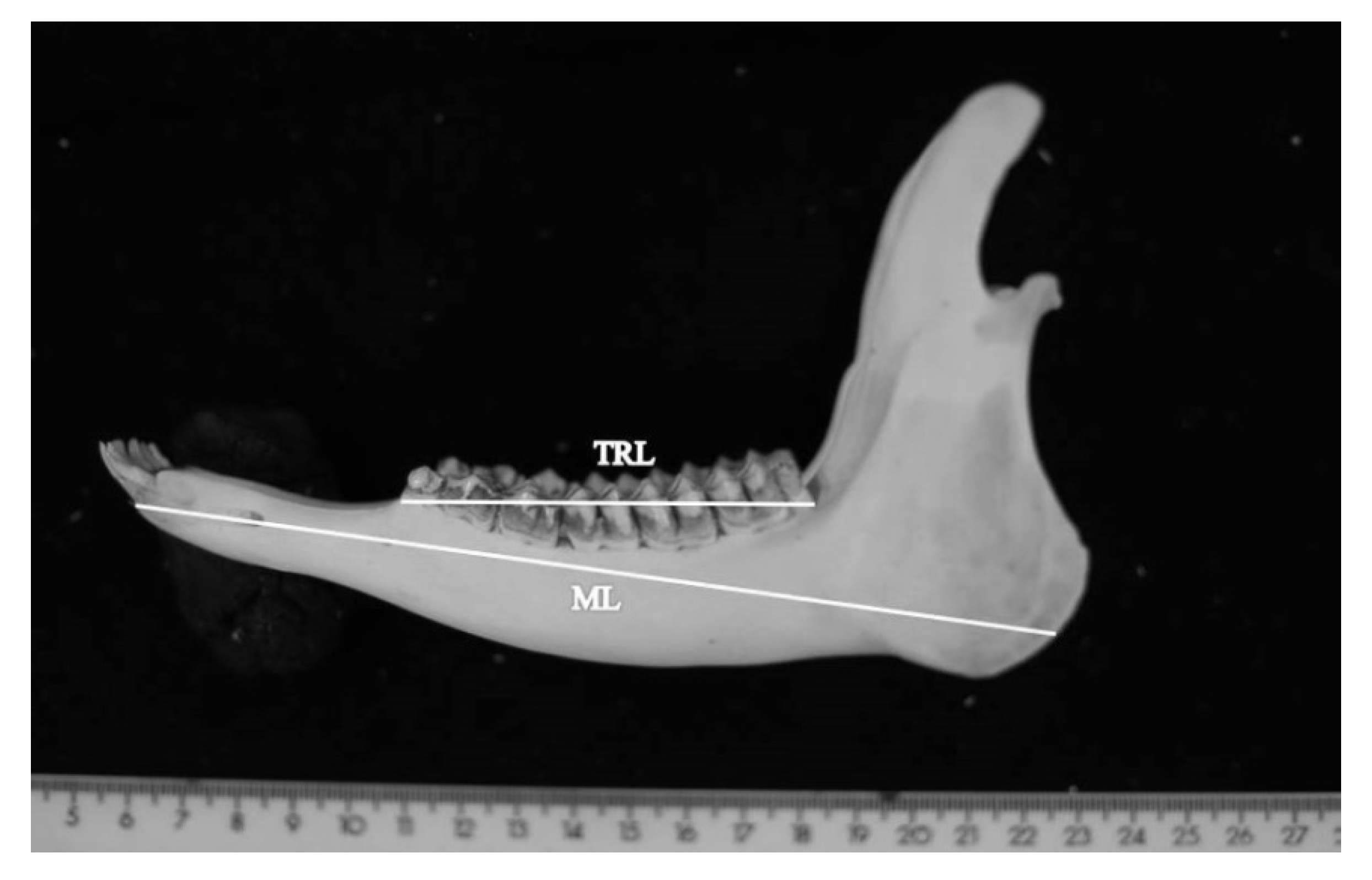 Animals 10 00465 g001