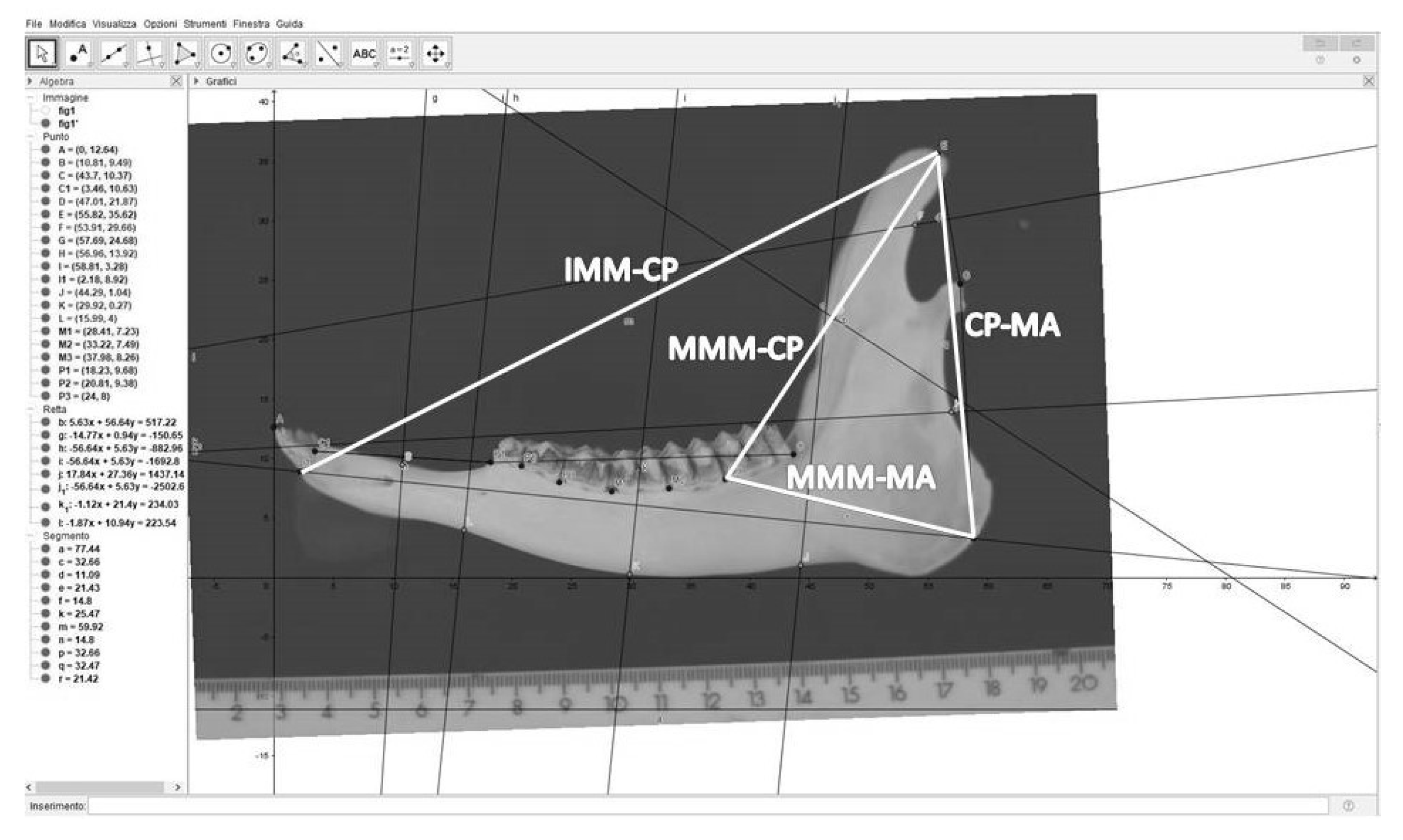 Animals 10 00465 g002