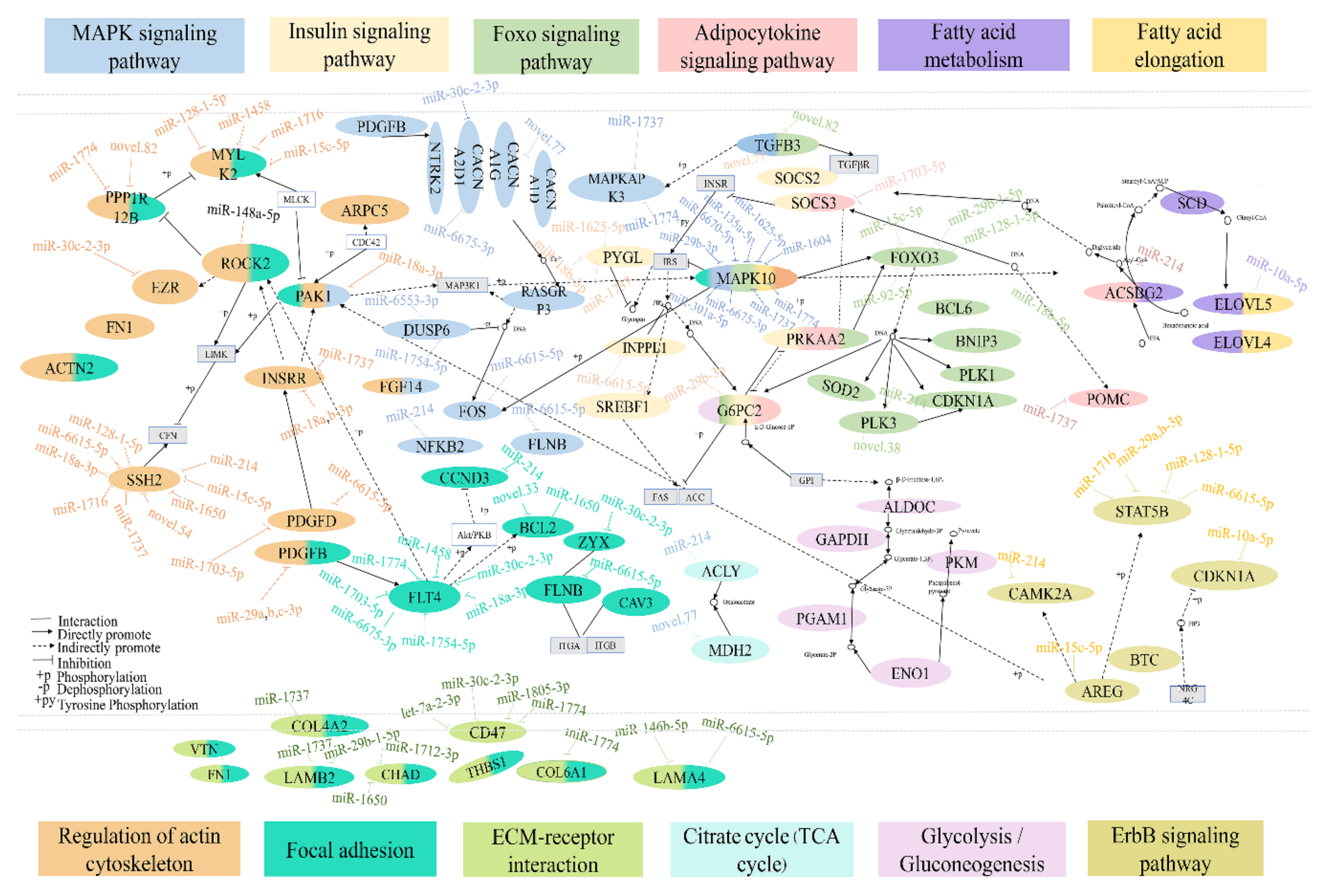 Animals 10 00468 g005 Animals 10 00468 g005