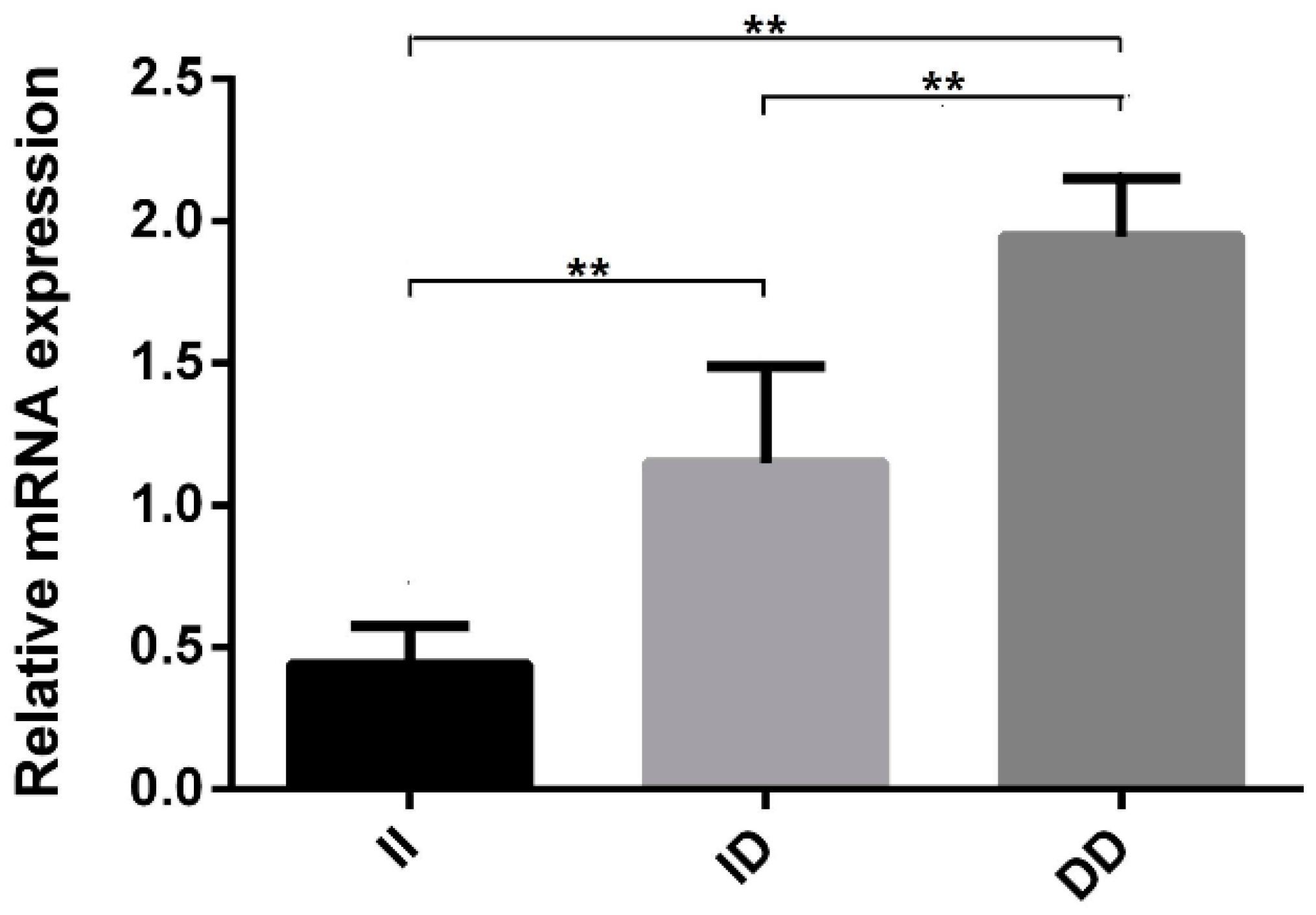 Animals Free Full Text A Novel 65 Bp Indel In The Golgb1 Gene Is Associated With Chicken Growth And Carcass Traits Html