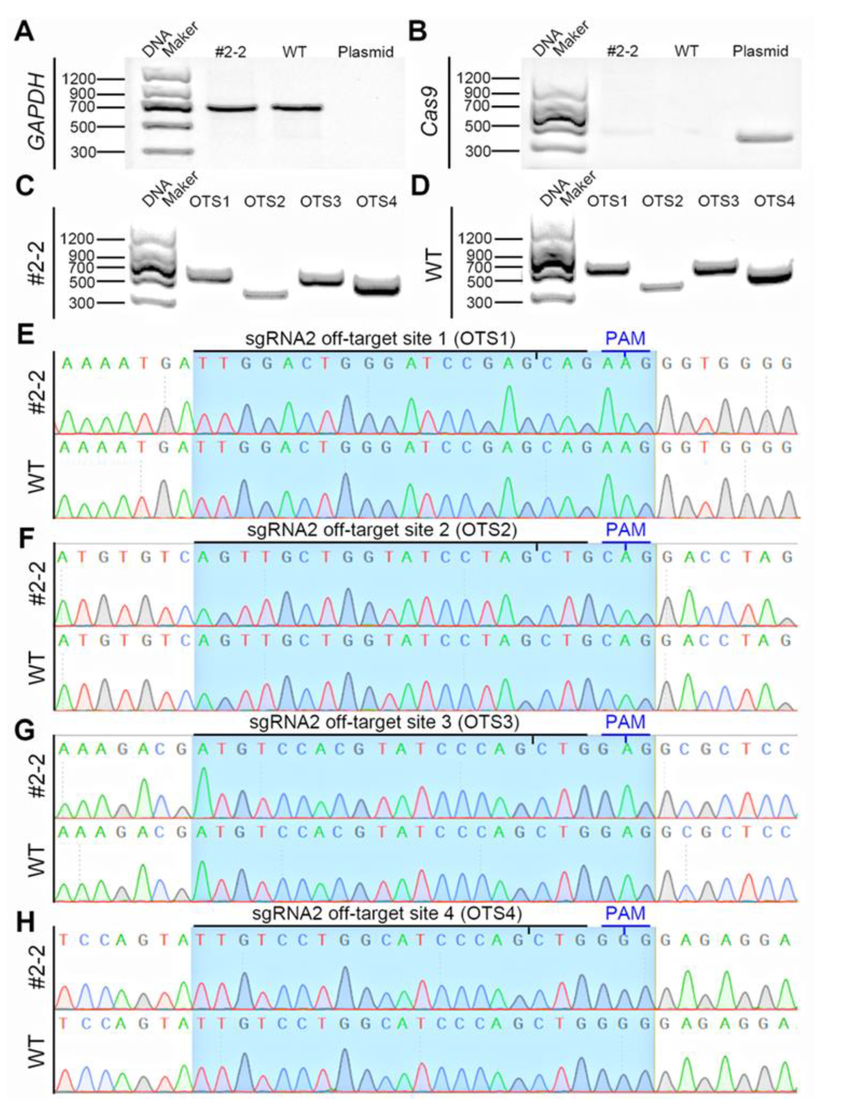 Animals 10 00501 g002 Animals 10 00501 g002