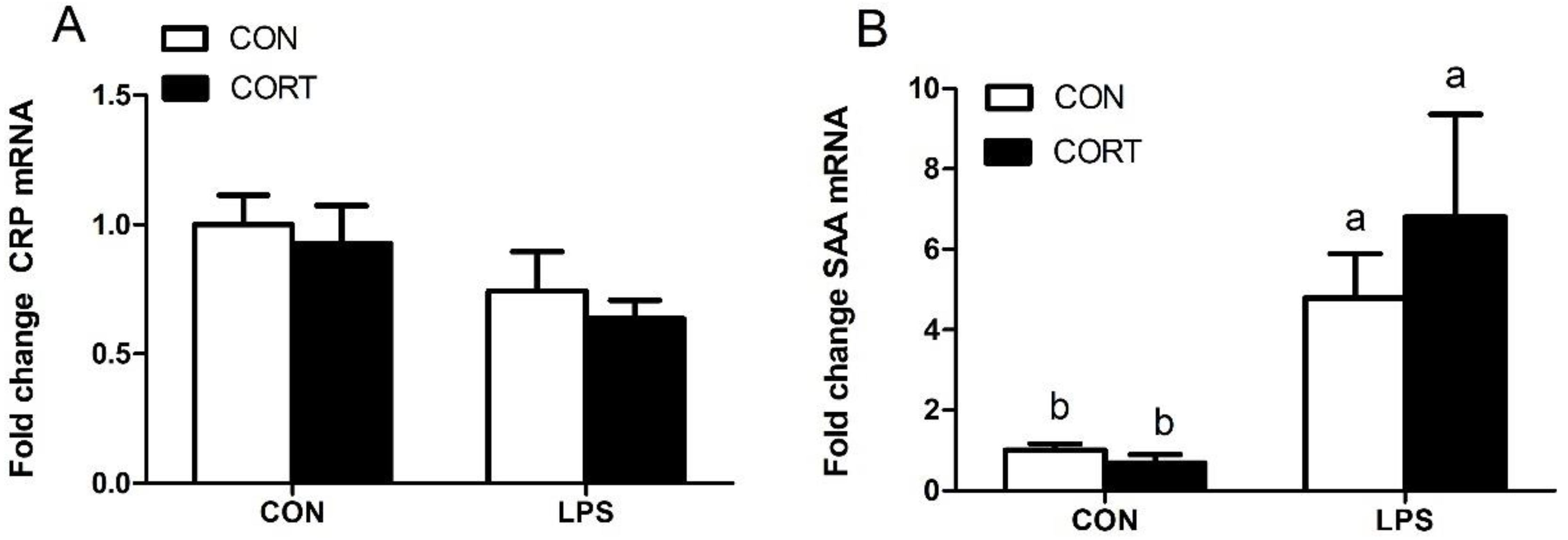 Animals 10 00514 g004