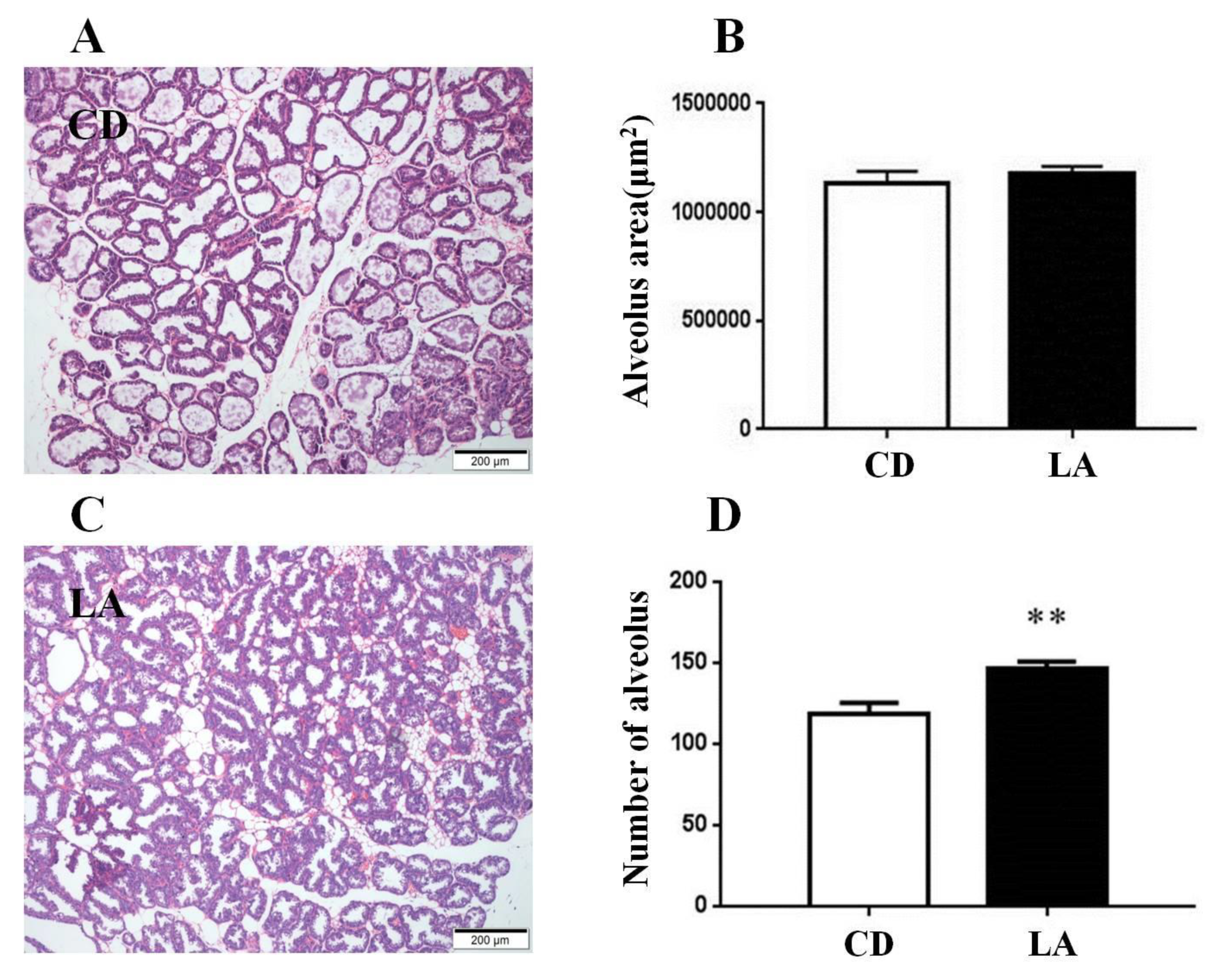 Animals 10 00529 g002 Animals 10 00529 g002