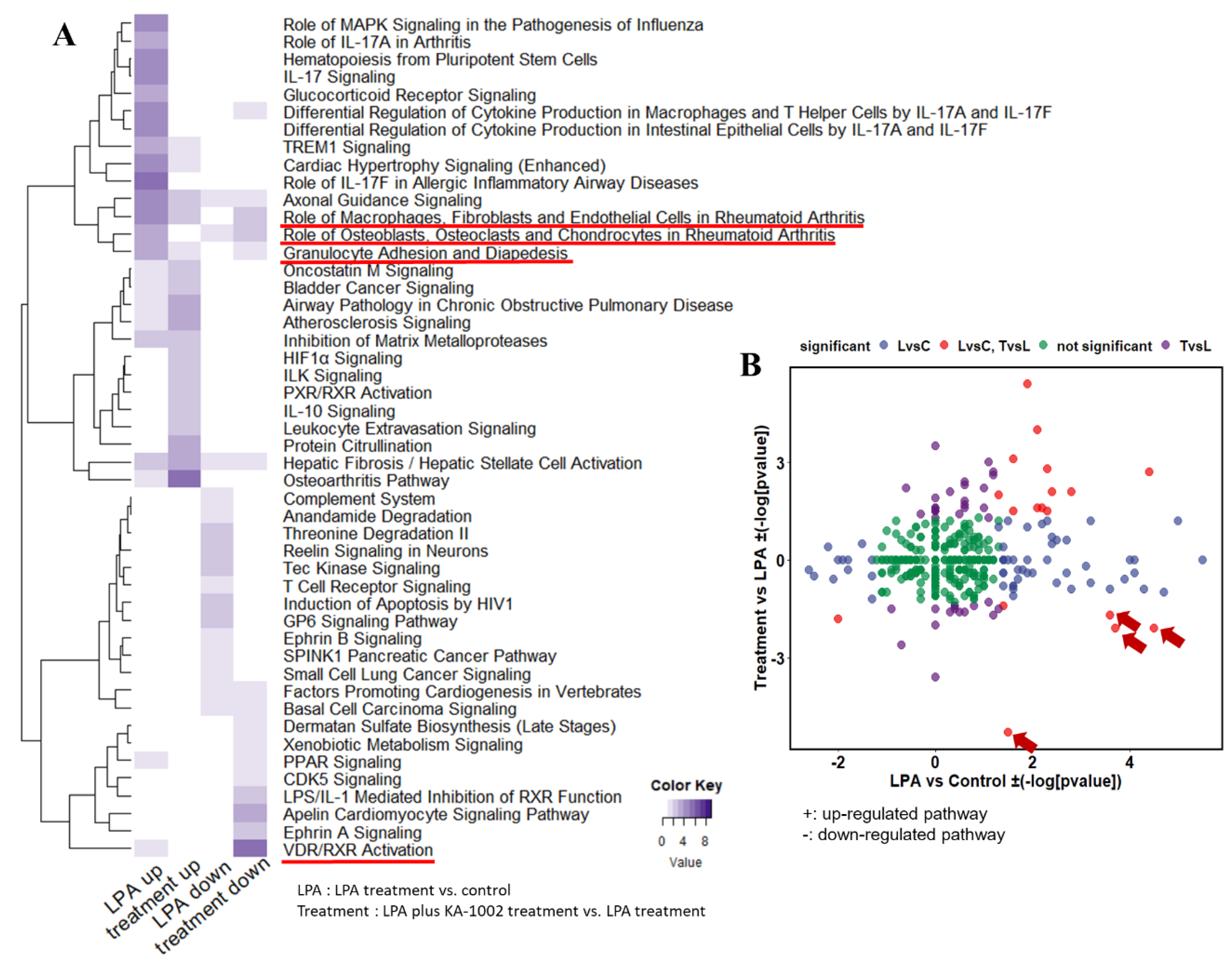 Animals 10 00534 g002