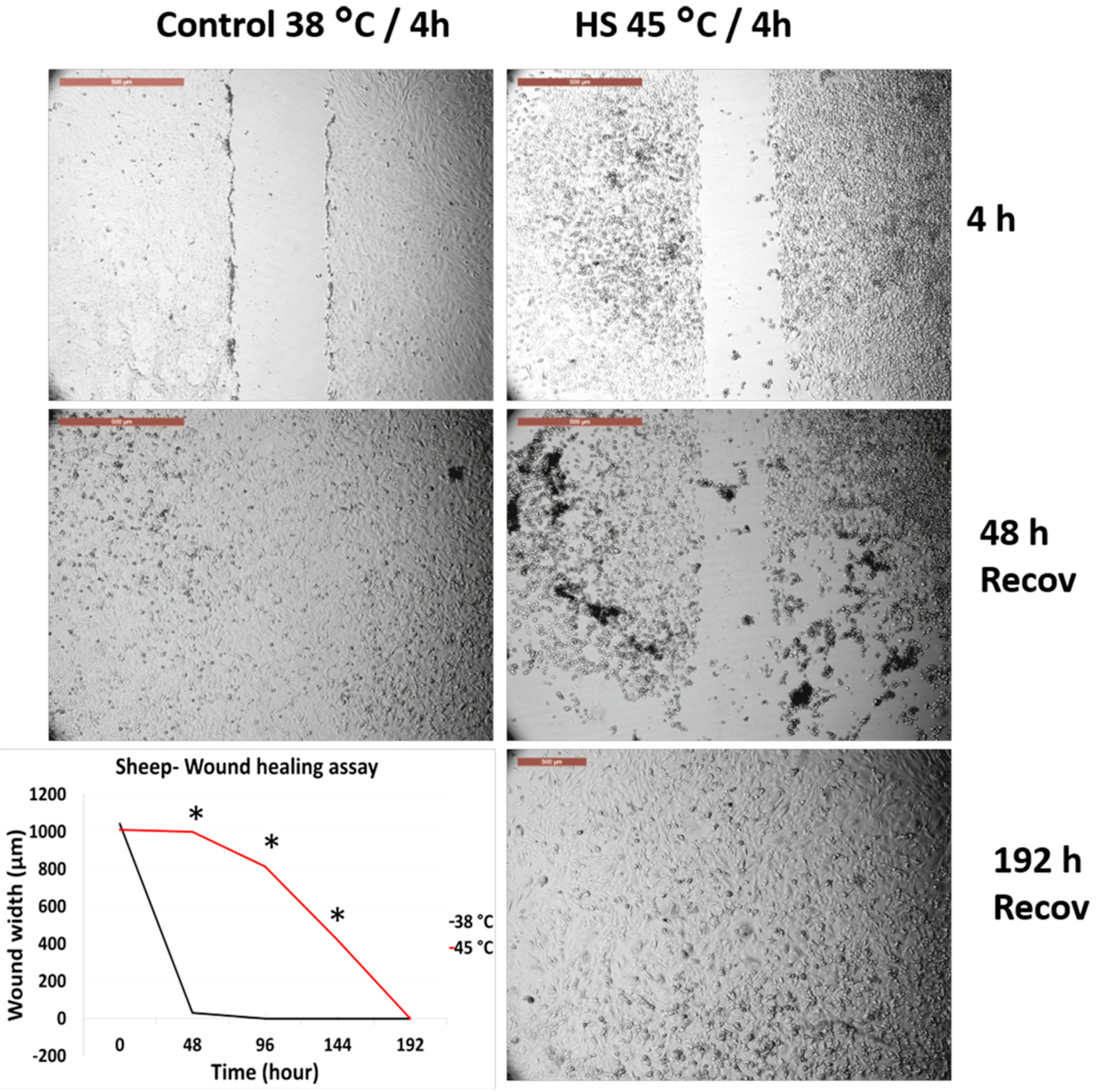 Animals 10 00545 g003 Animals 10 00545 g003