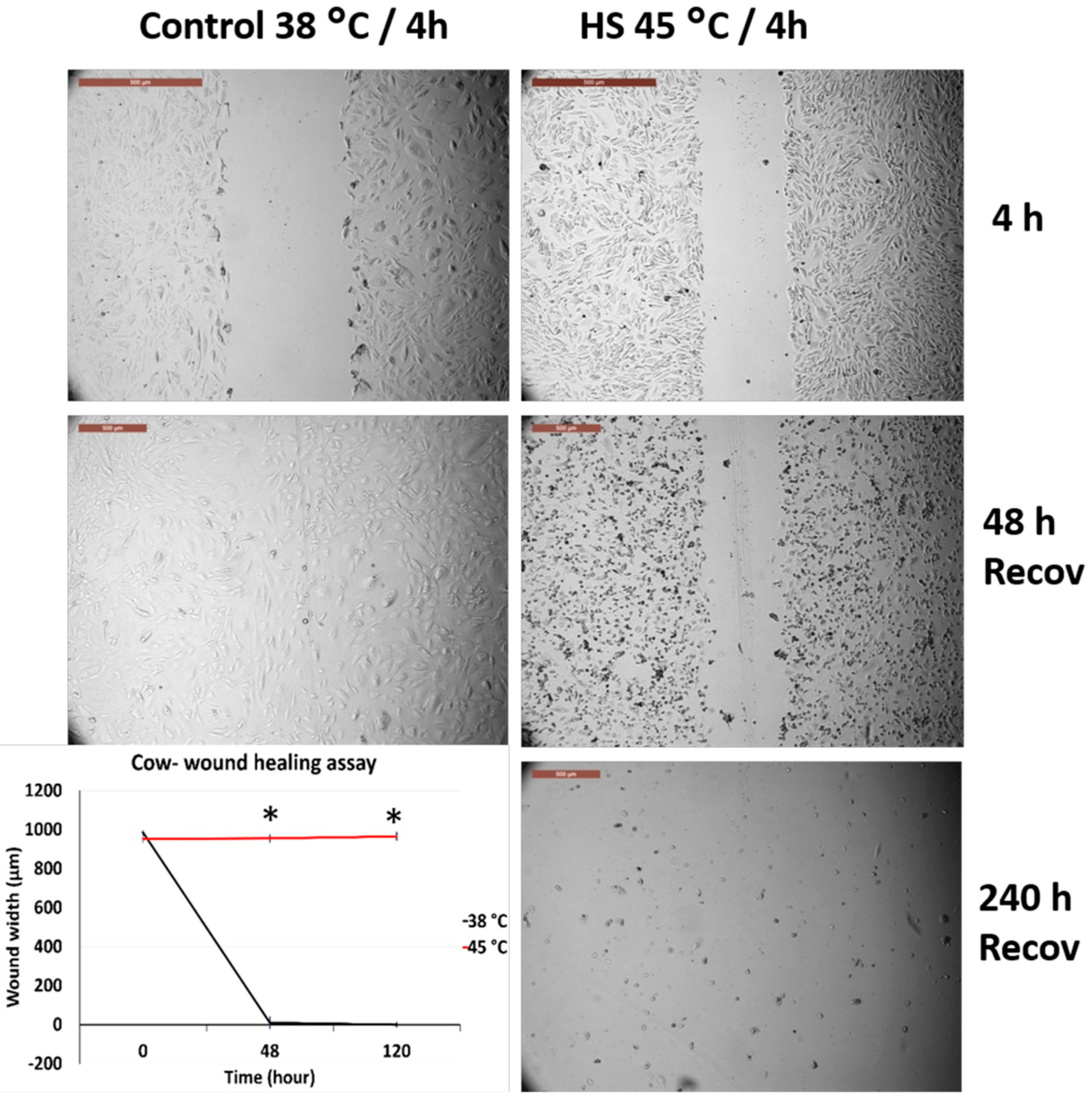 Animals 10 00545 g004 Animals 10 00545 g004