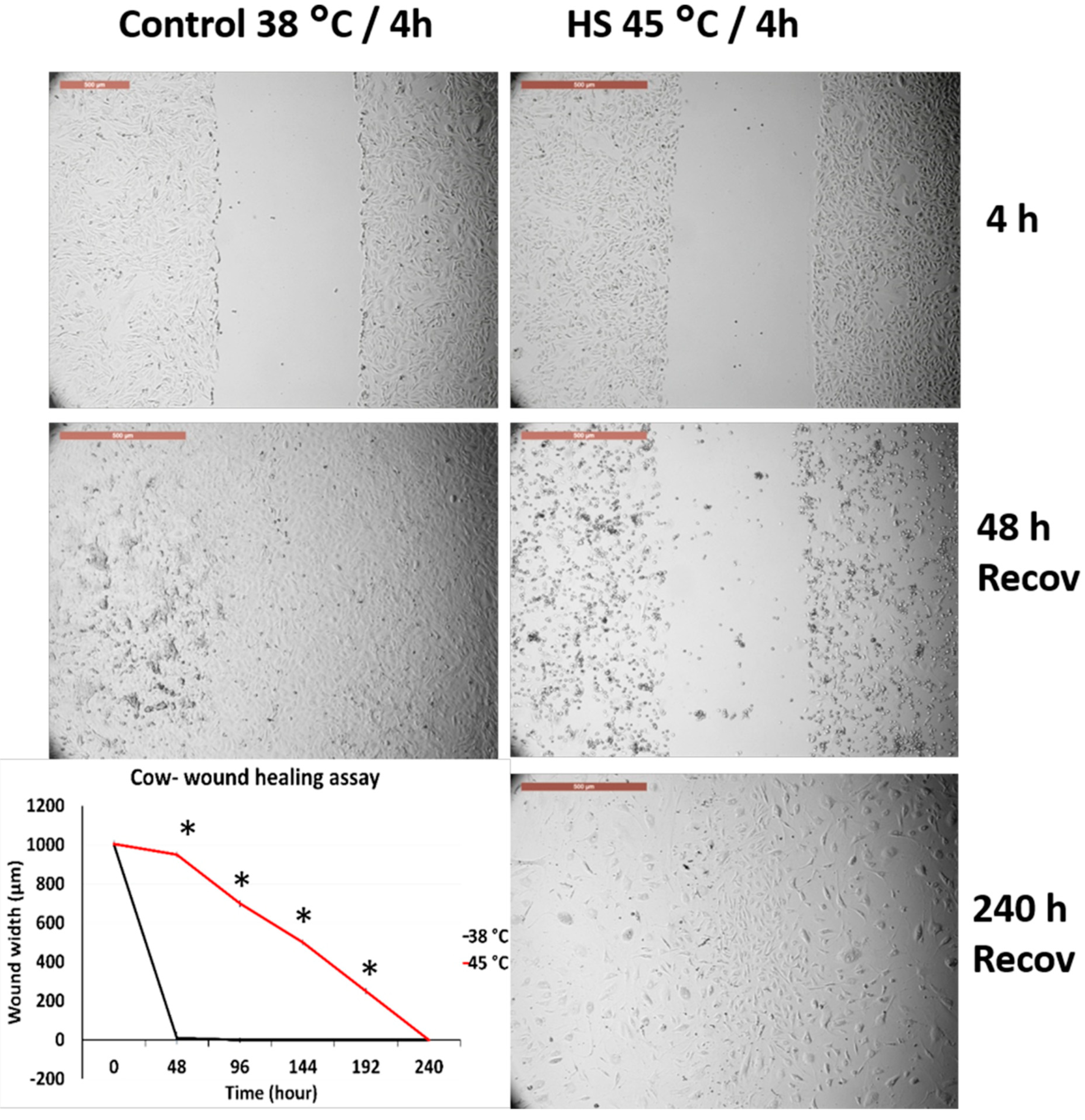 Animals 10 00545 g006 Animals 10 00545 g006