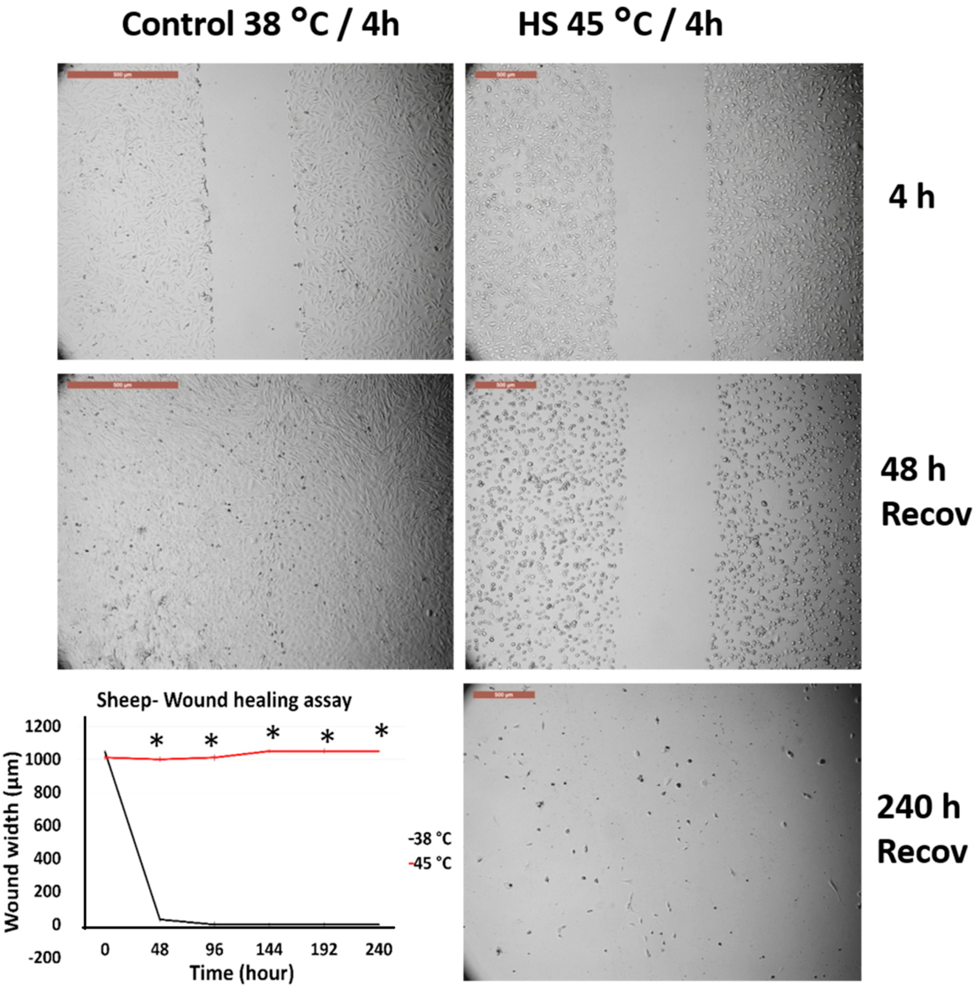 Animals 10 00545 g007 Animals 10 00545 g007