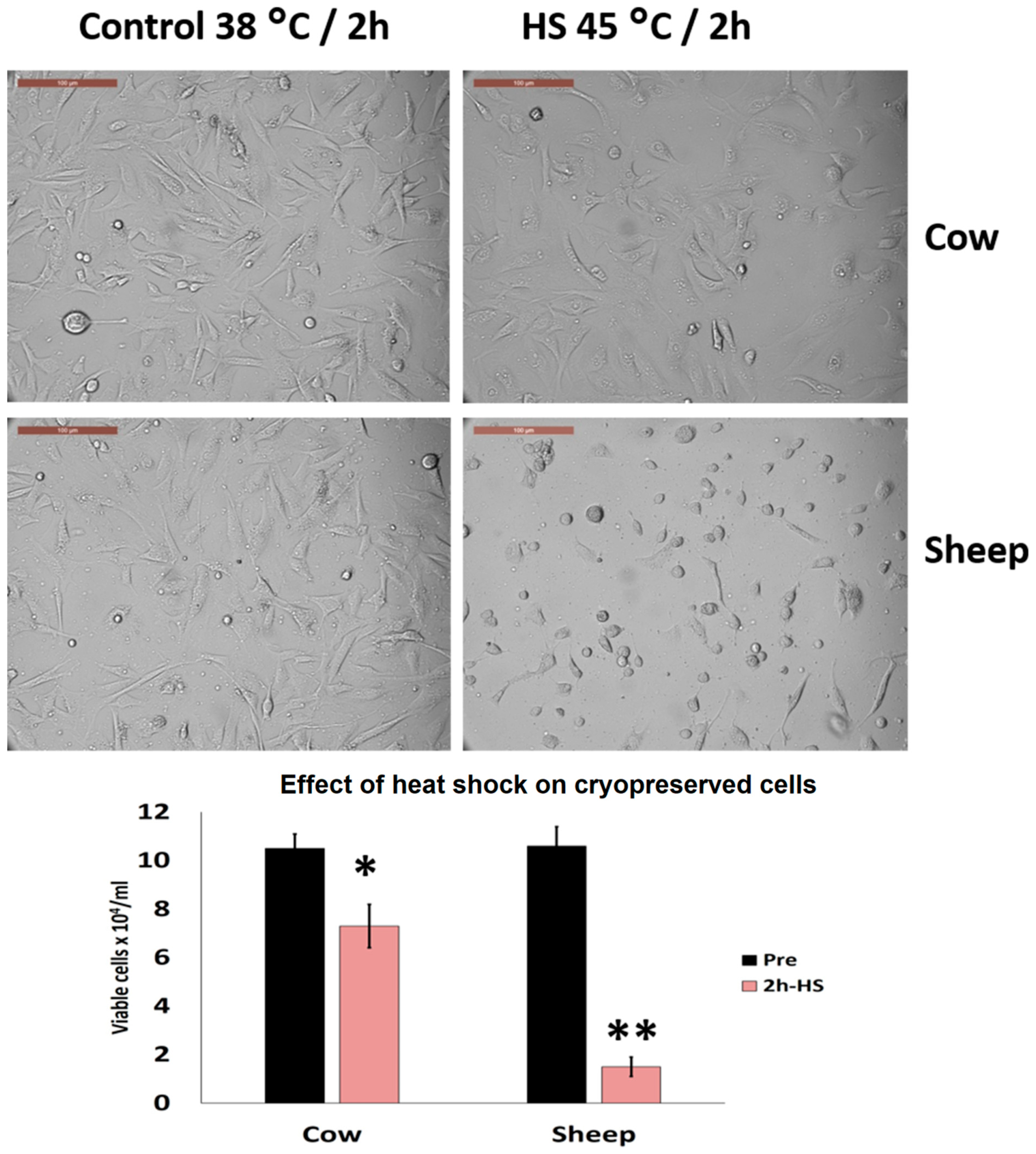 Animals 10 00545 g008 Animals 10 00545 g008