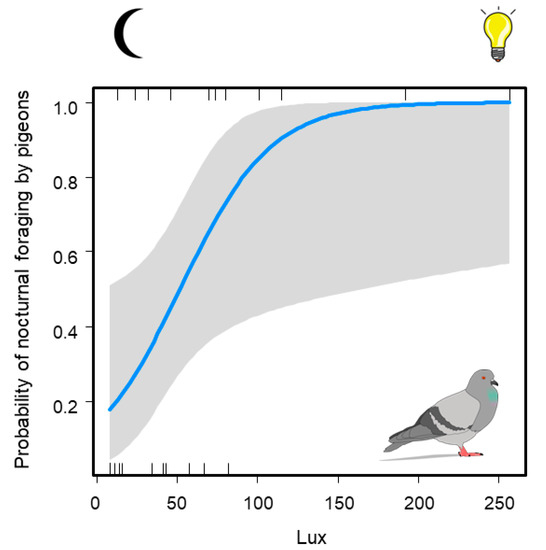 Animals Free FullText Artificial Light at Night (ALAN) Is the Main