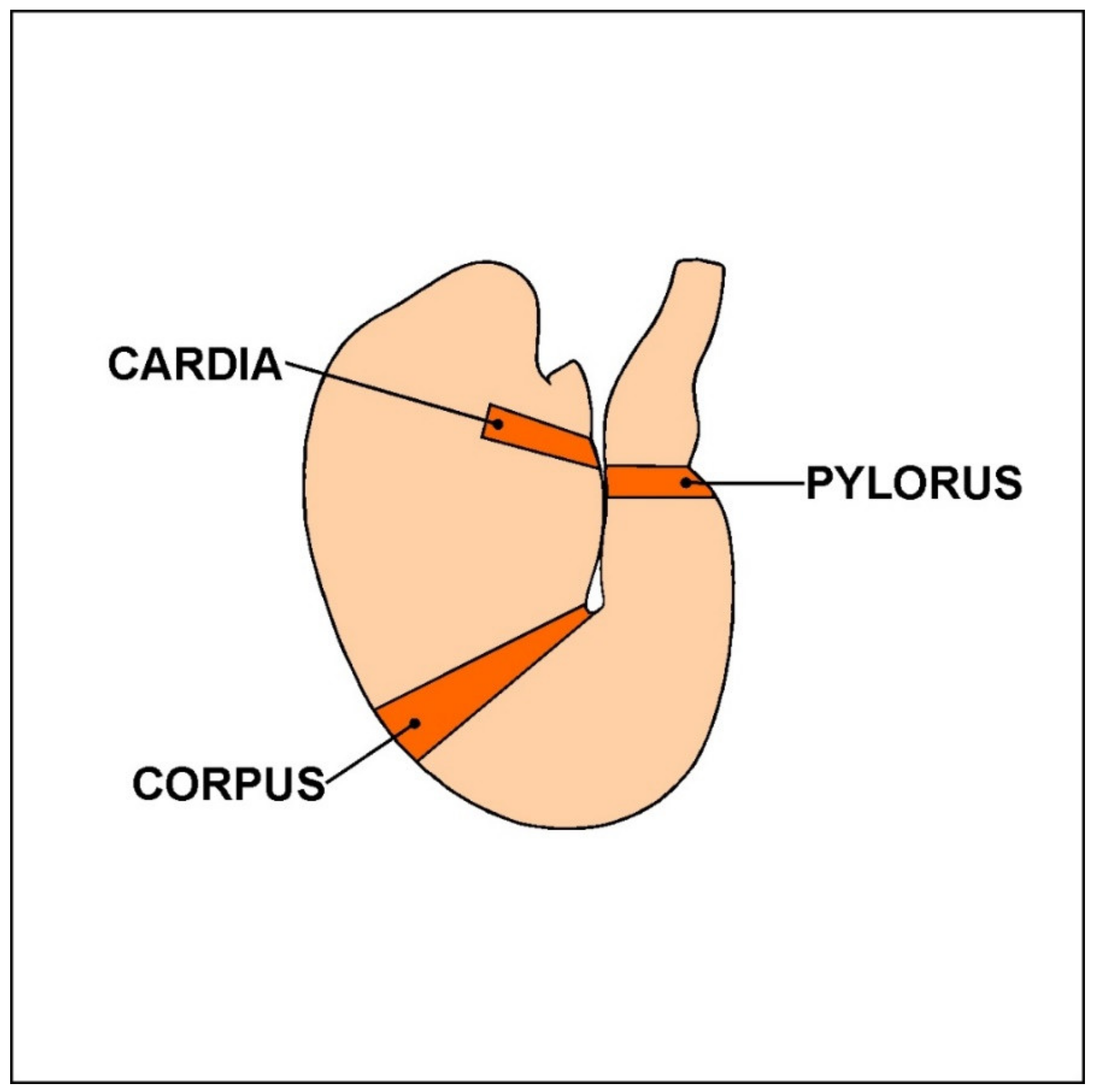 Animals 10 00555 g001 Animals 10 00555 g001