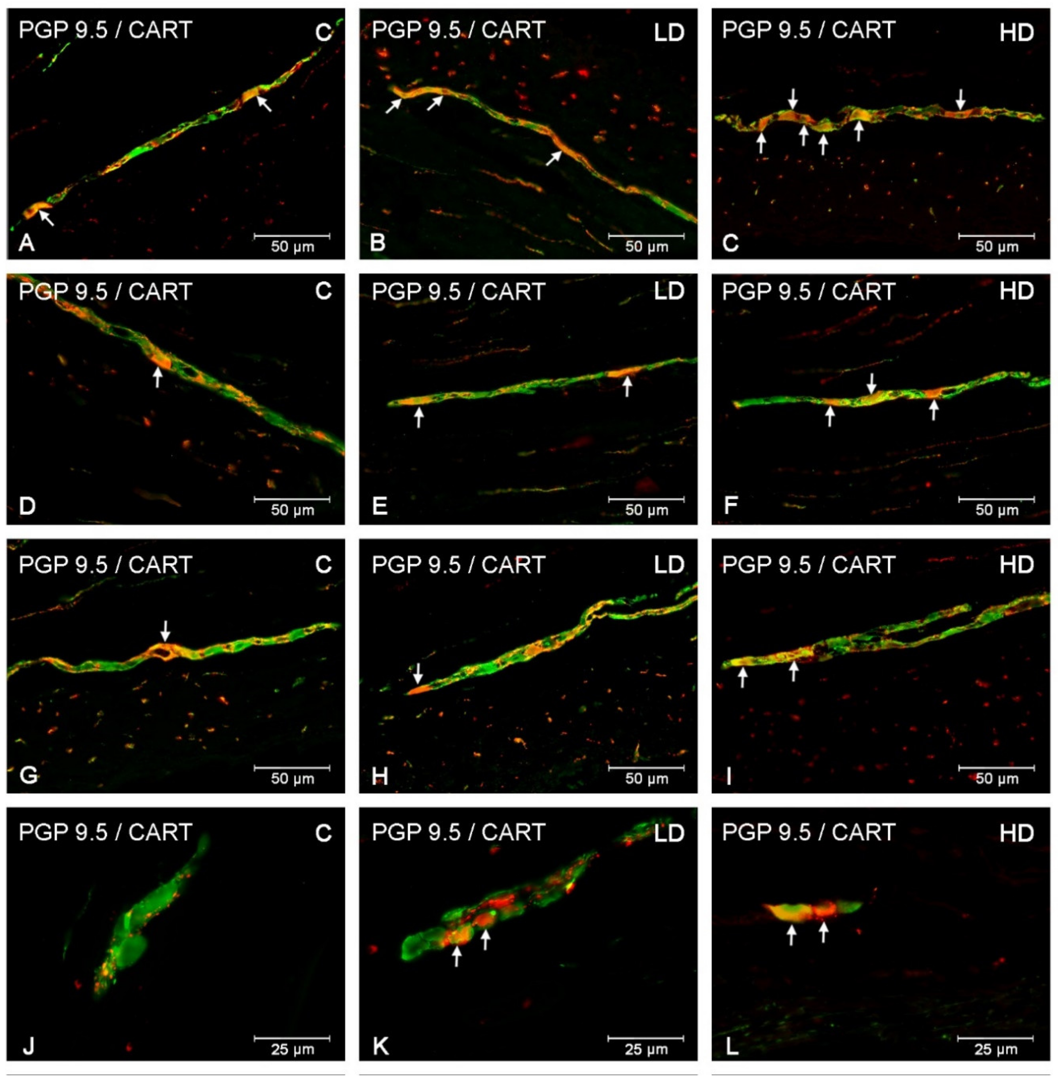 Animals 10 00555 g003 Animals 10 00555 g003