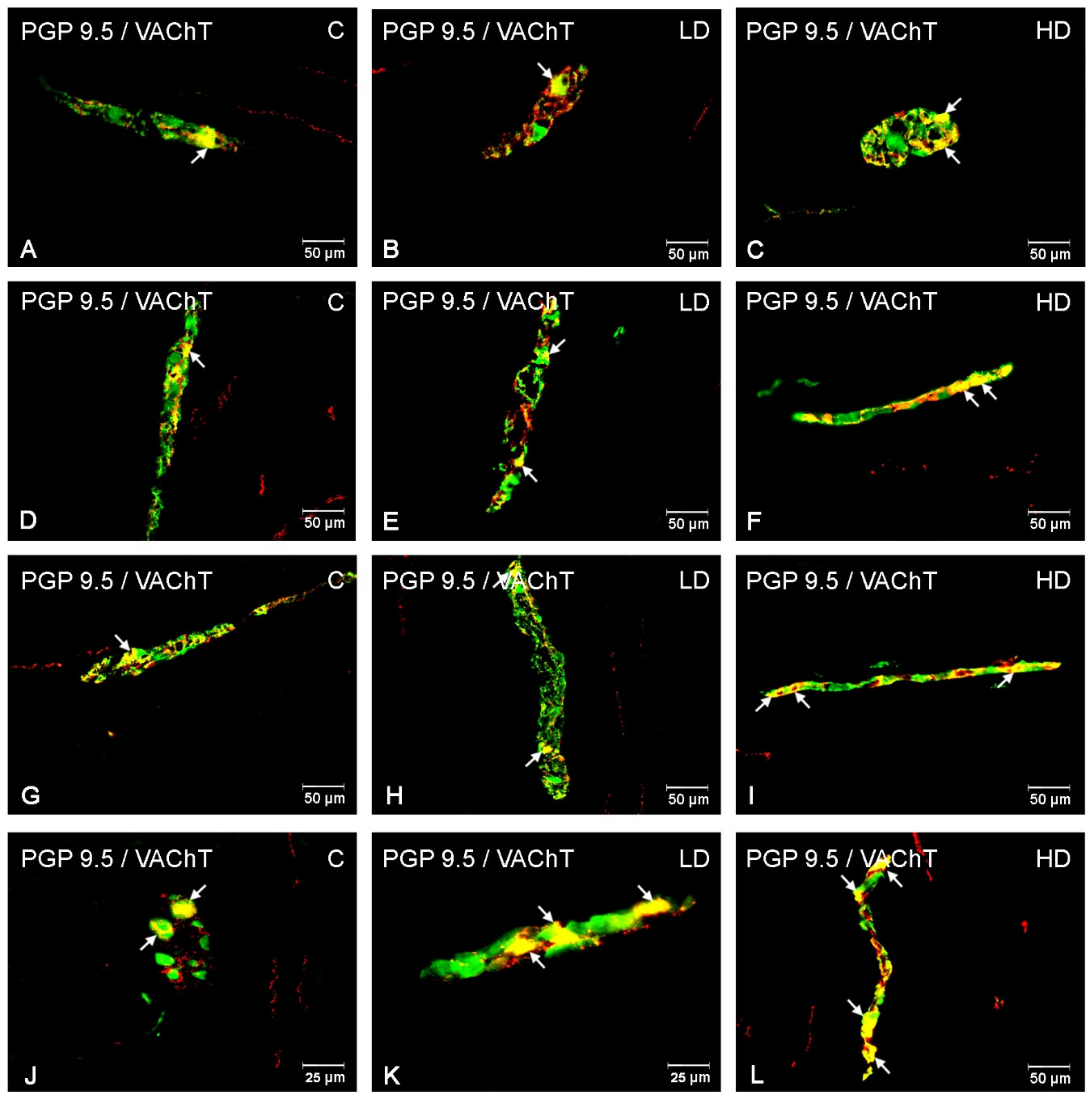 Animals 10 00555 g004 Animals 10 00555 g004
