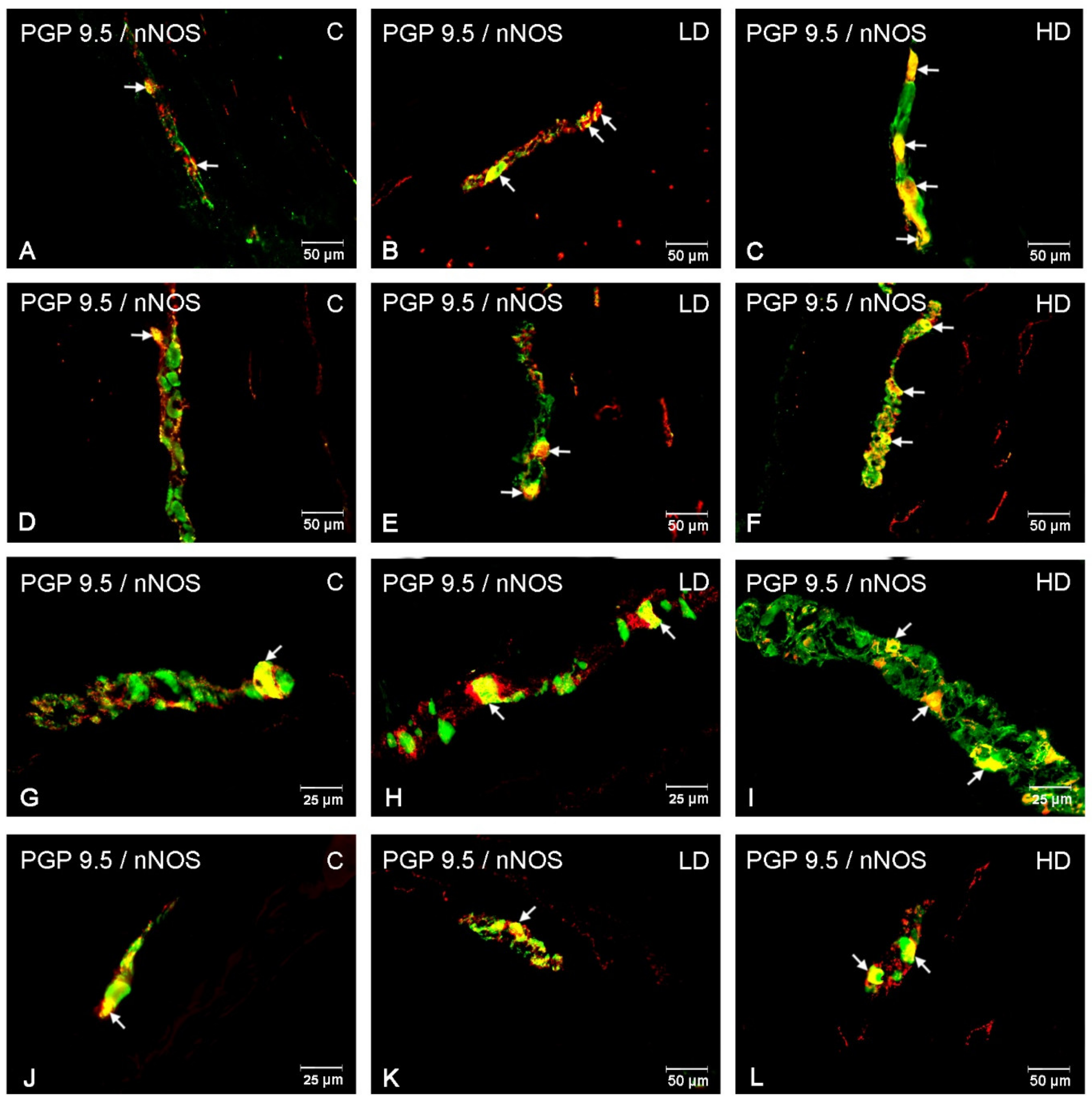 Animals 10 00555 g005 Animals 10 00555 g005