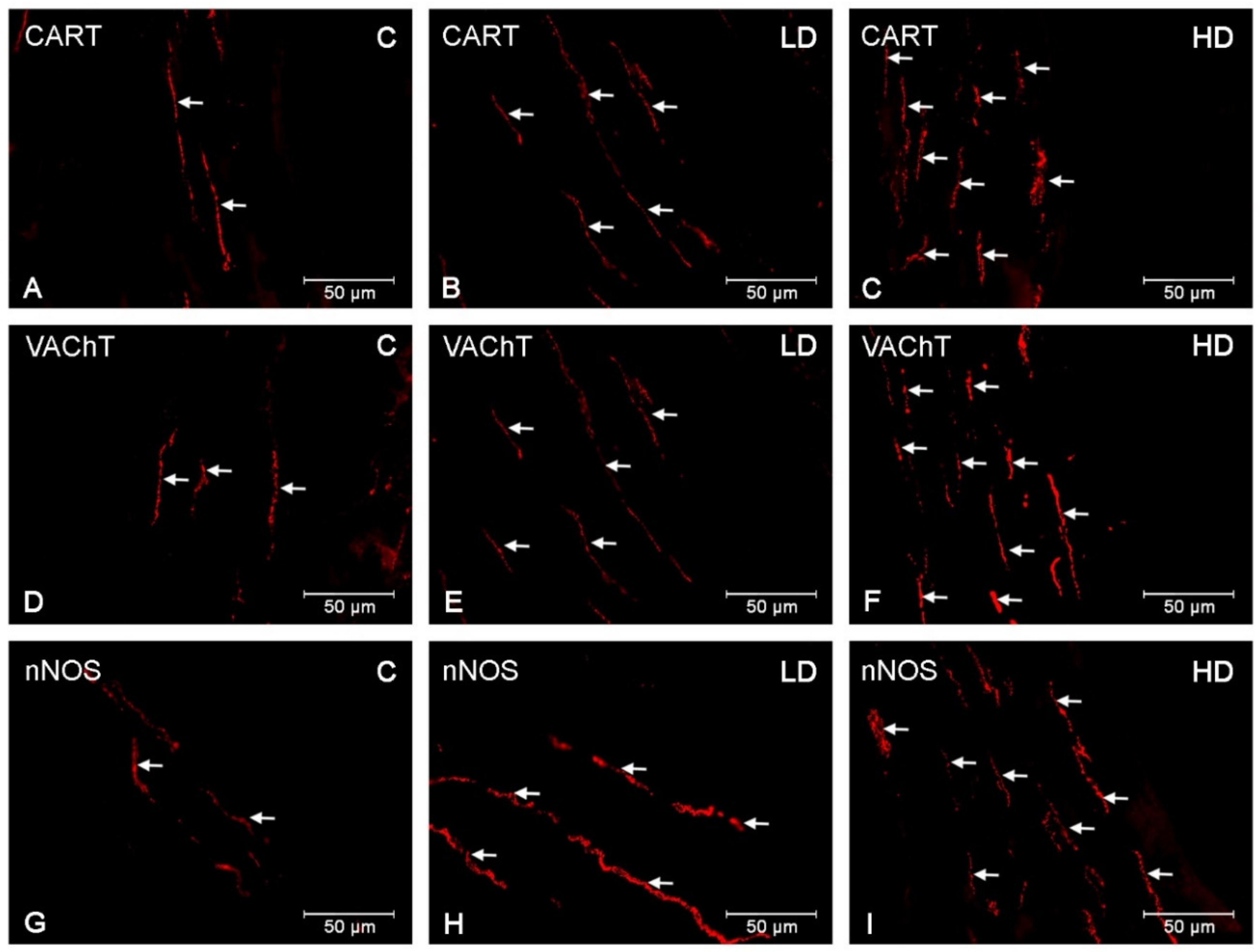 Animals 10 00555 g006 Animals 10 00555 g006