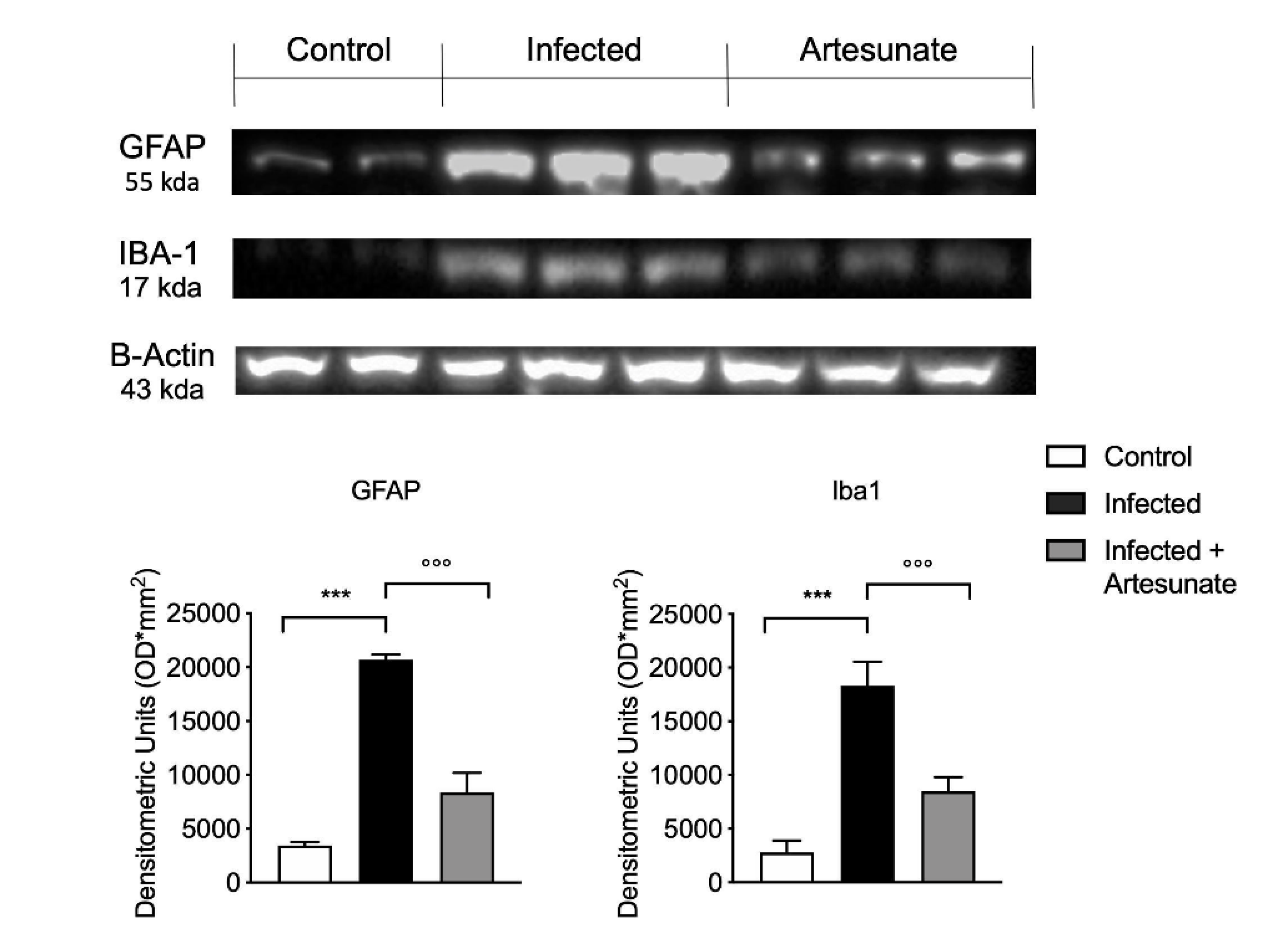 Animals 10 00557 g006 Animals 10 00557 g006
