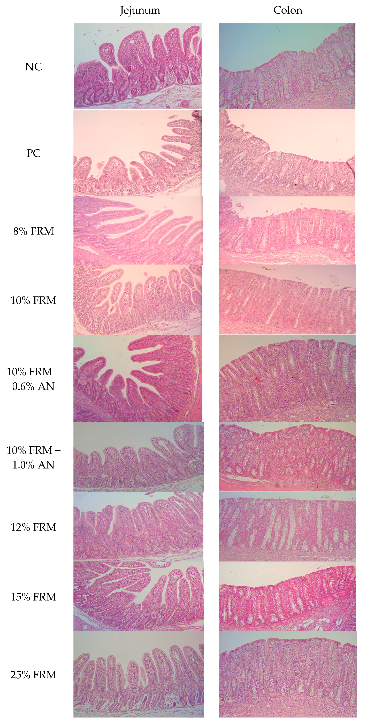 Animals 10 00559 g002 Animals 10 00559 g002