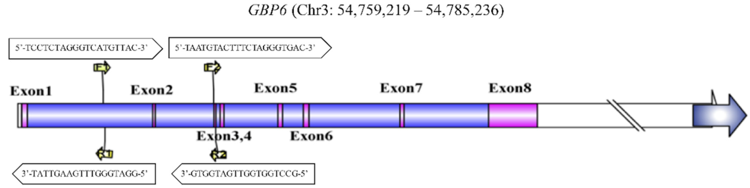 Animals 10 00566 g002