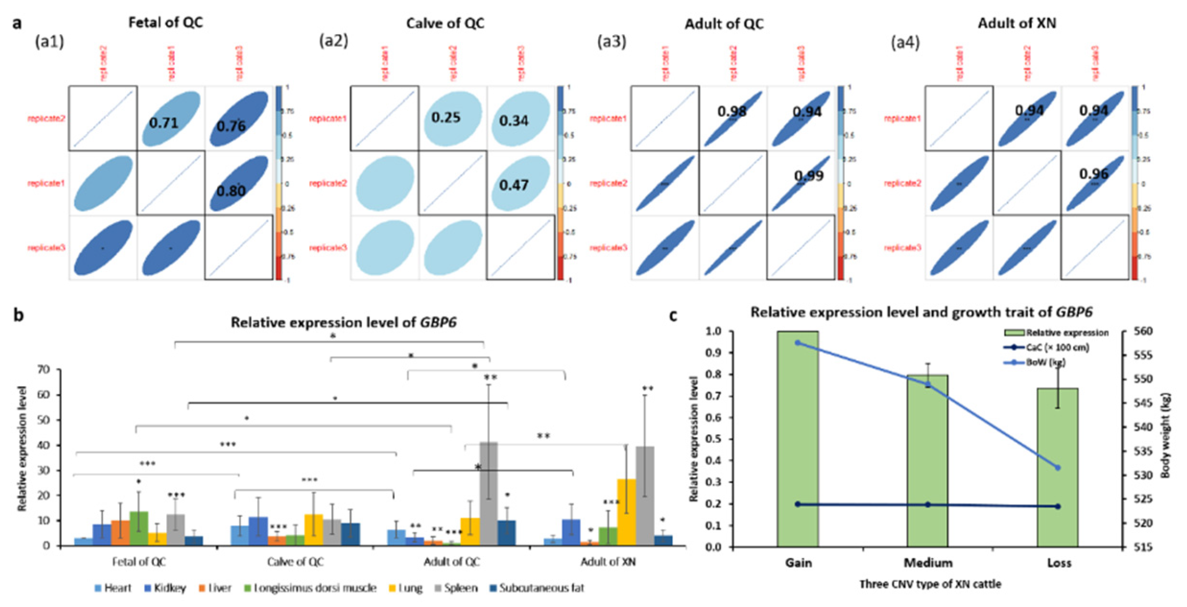 Animals 10 00566 g004