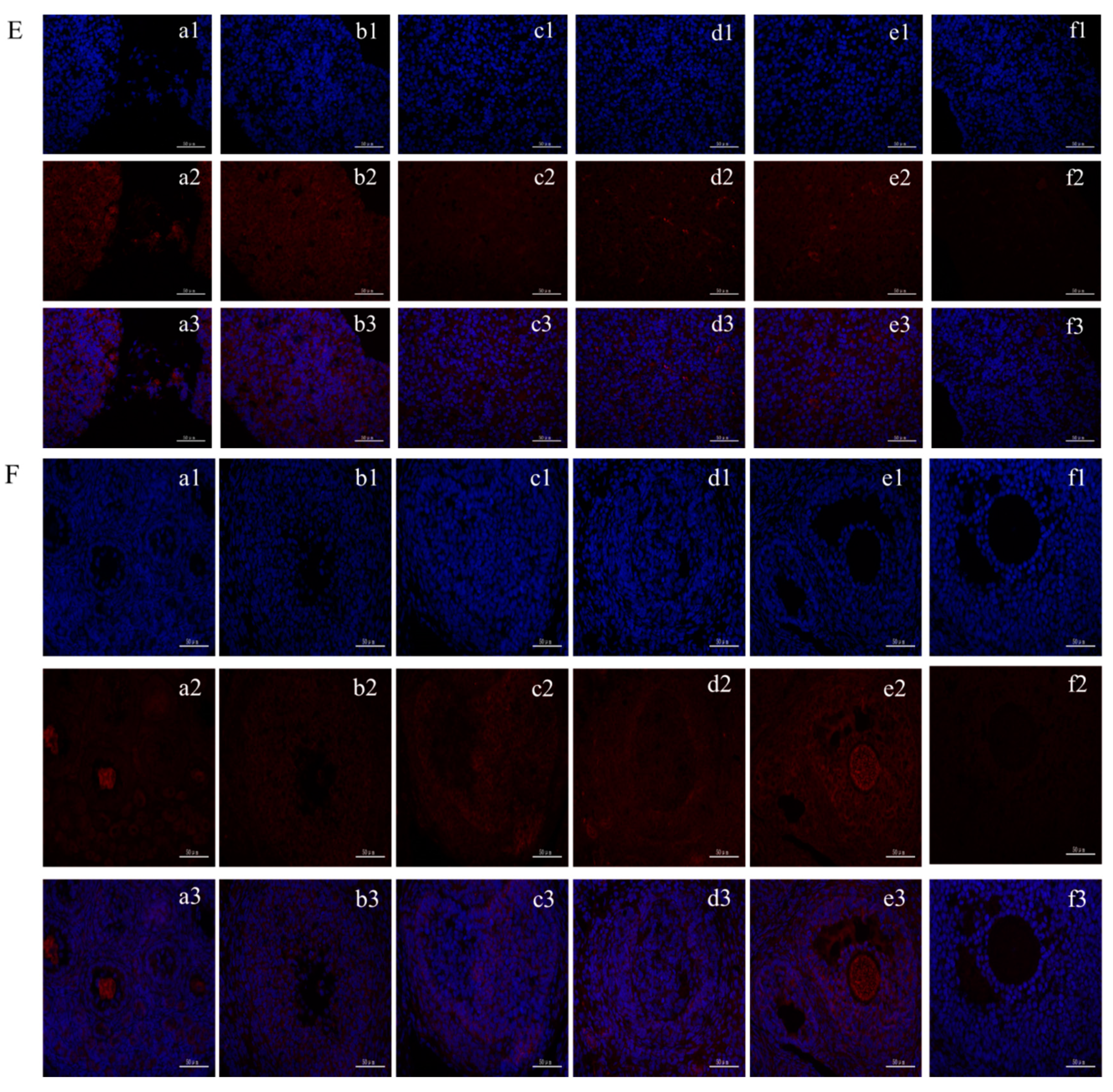 Animals 10 00567 g001b Animals 10 00567 g001b