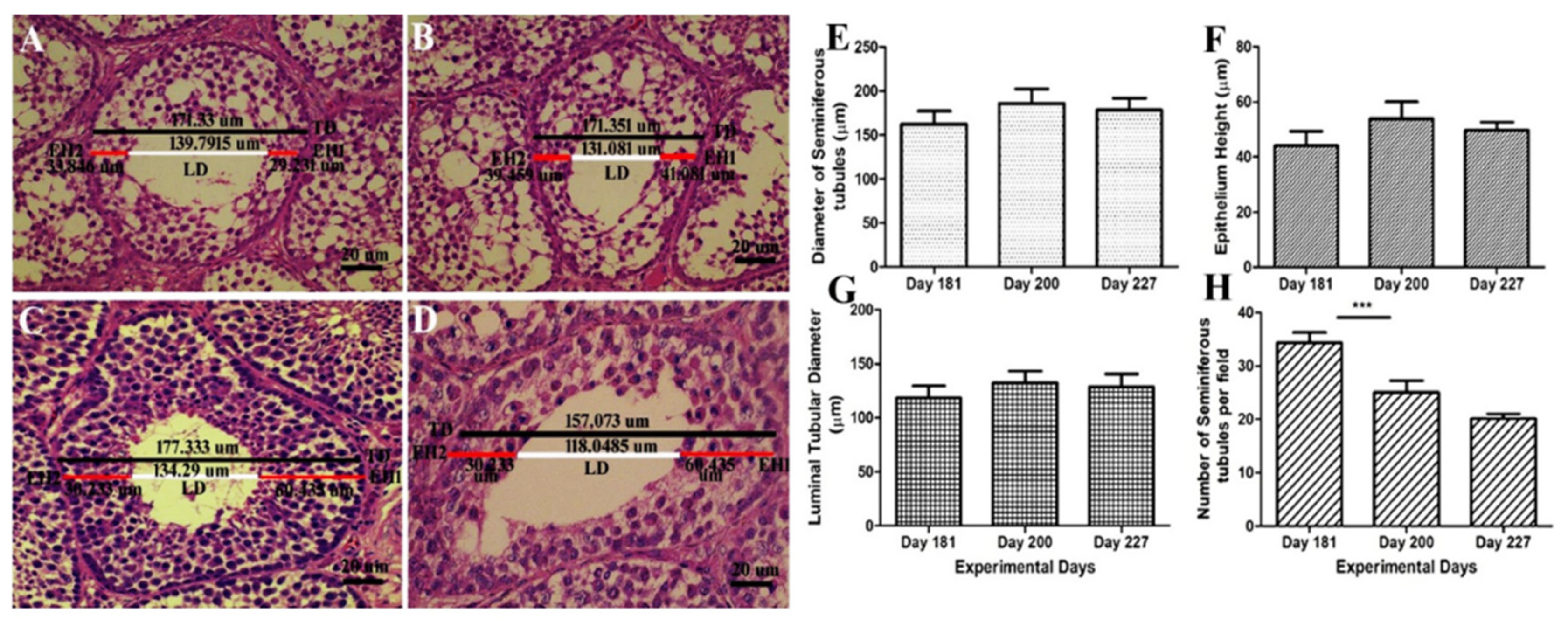 Animals 10 00570 g003