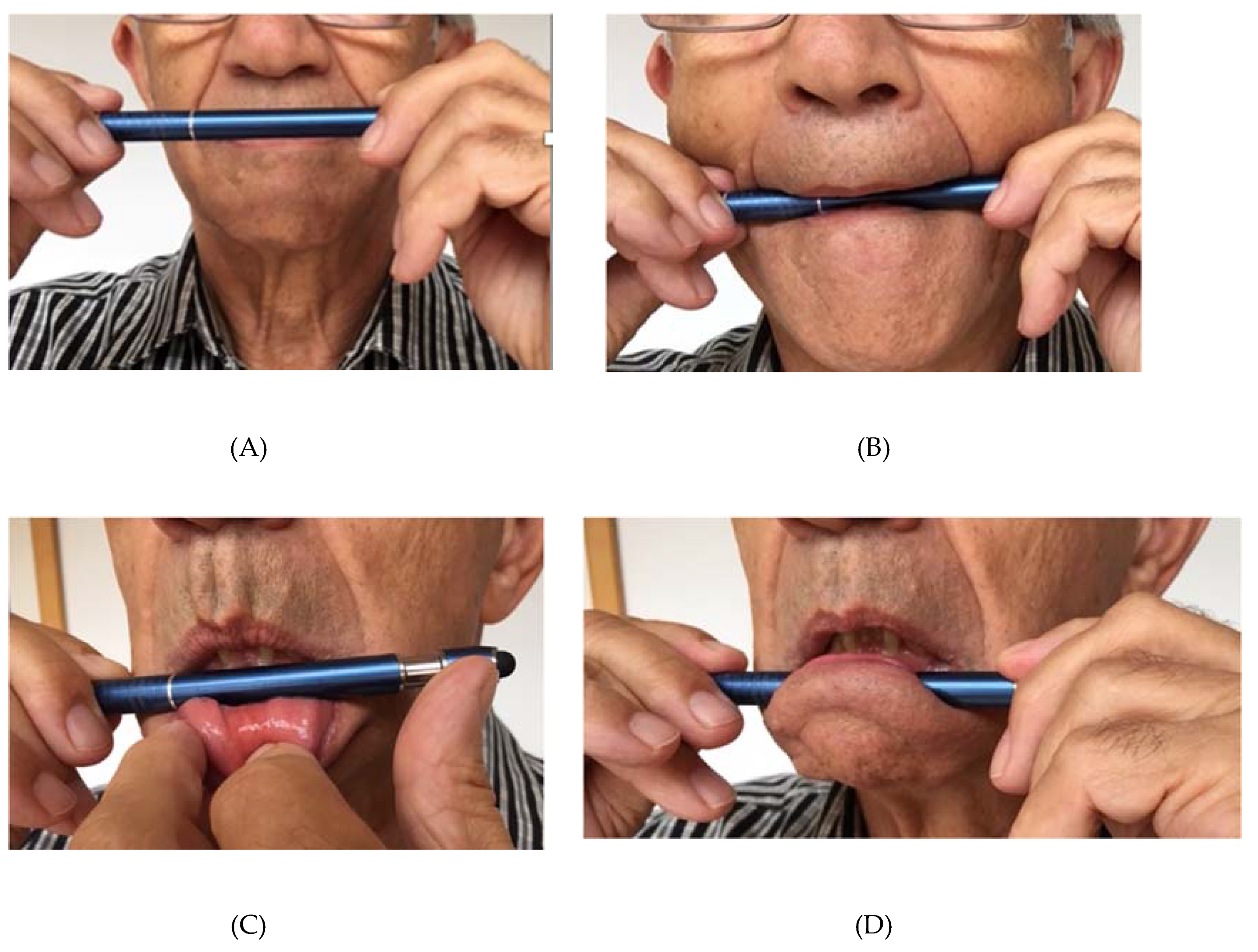 Animals 10 00572 g001