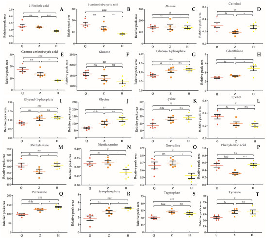 Analysis of Astragalus Polysaccharide Intervention in Heat