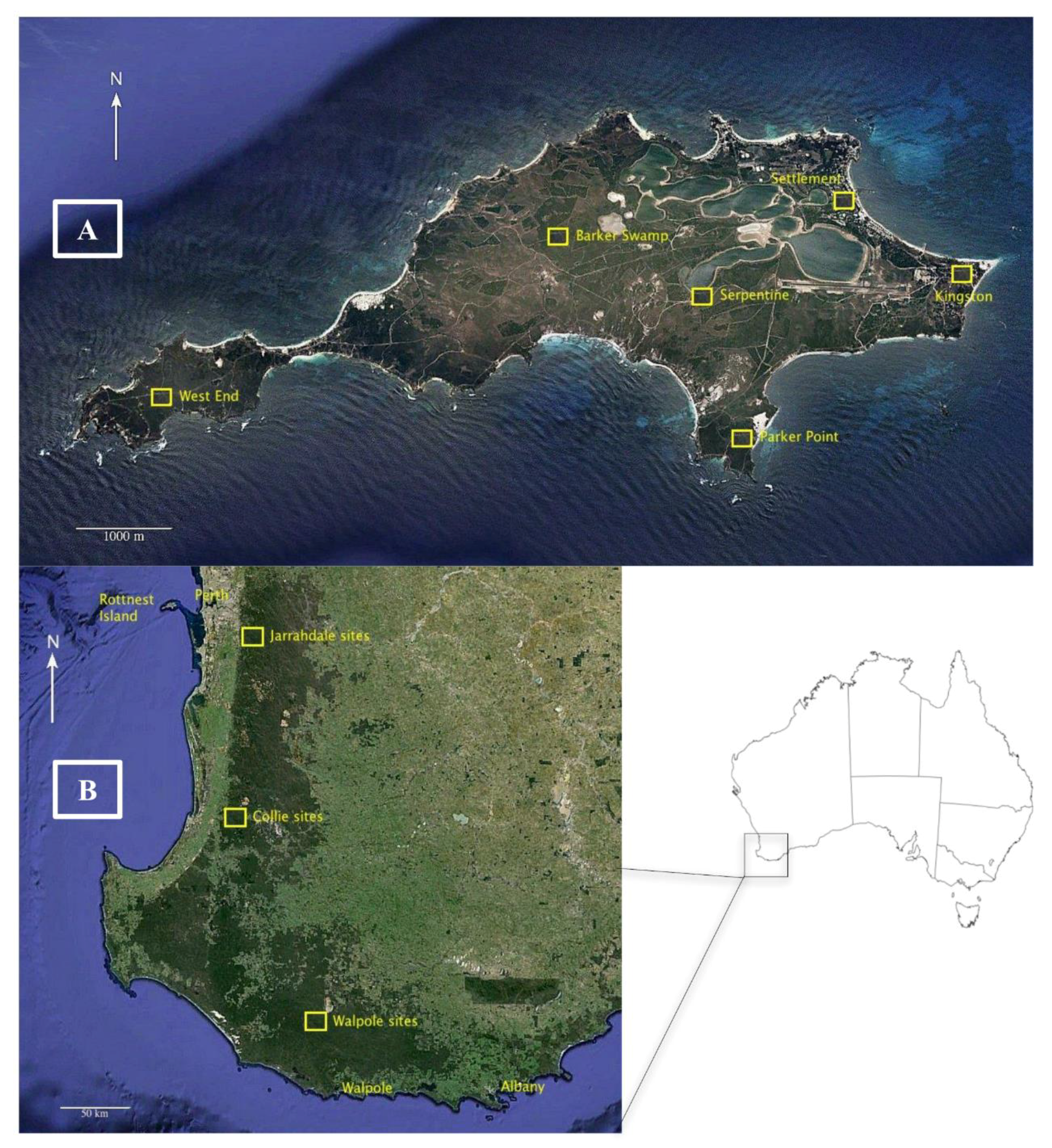 Animals 10 00585 g001 Animals 10 00585 g001