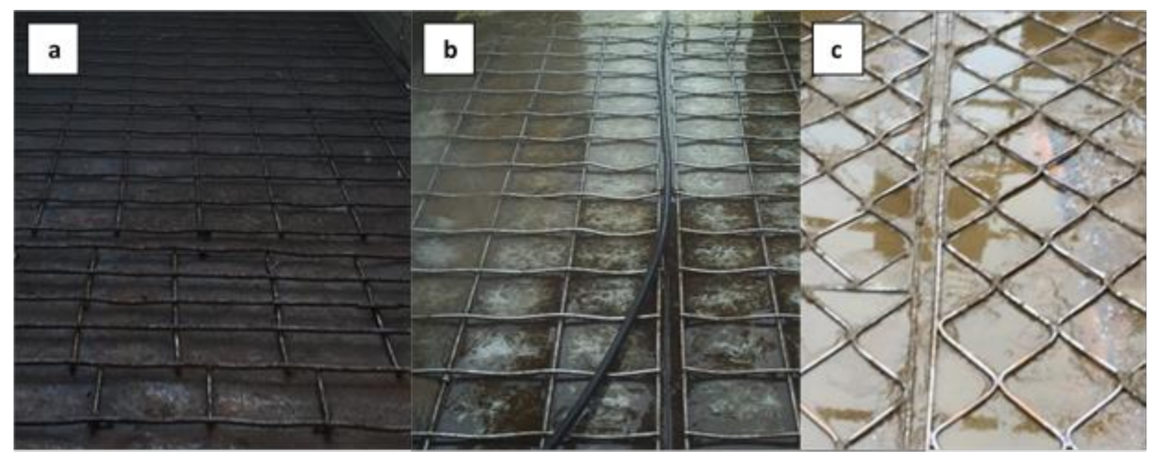 Animals 10 00602 g003