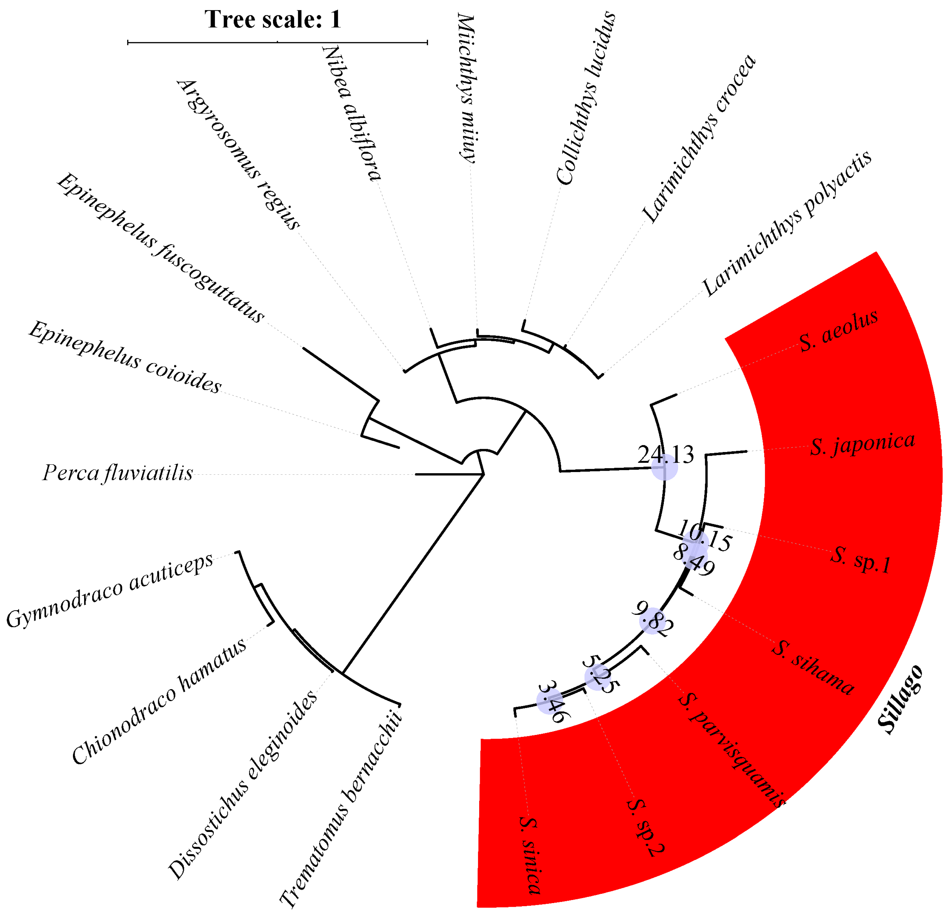 Animals 10 00633 g004 Animals 10 00633 g004
