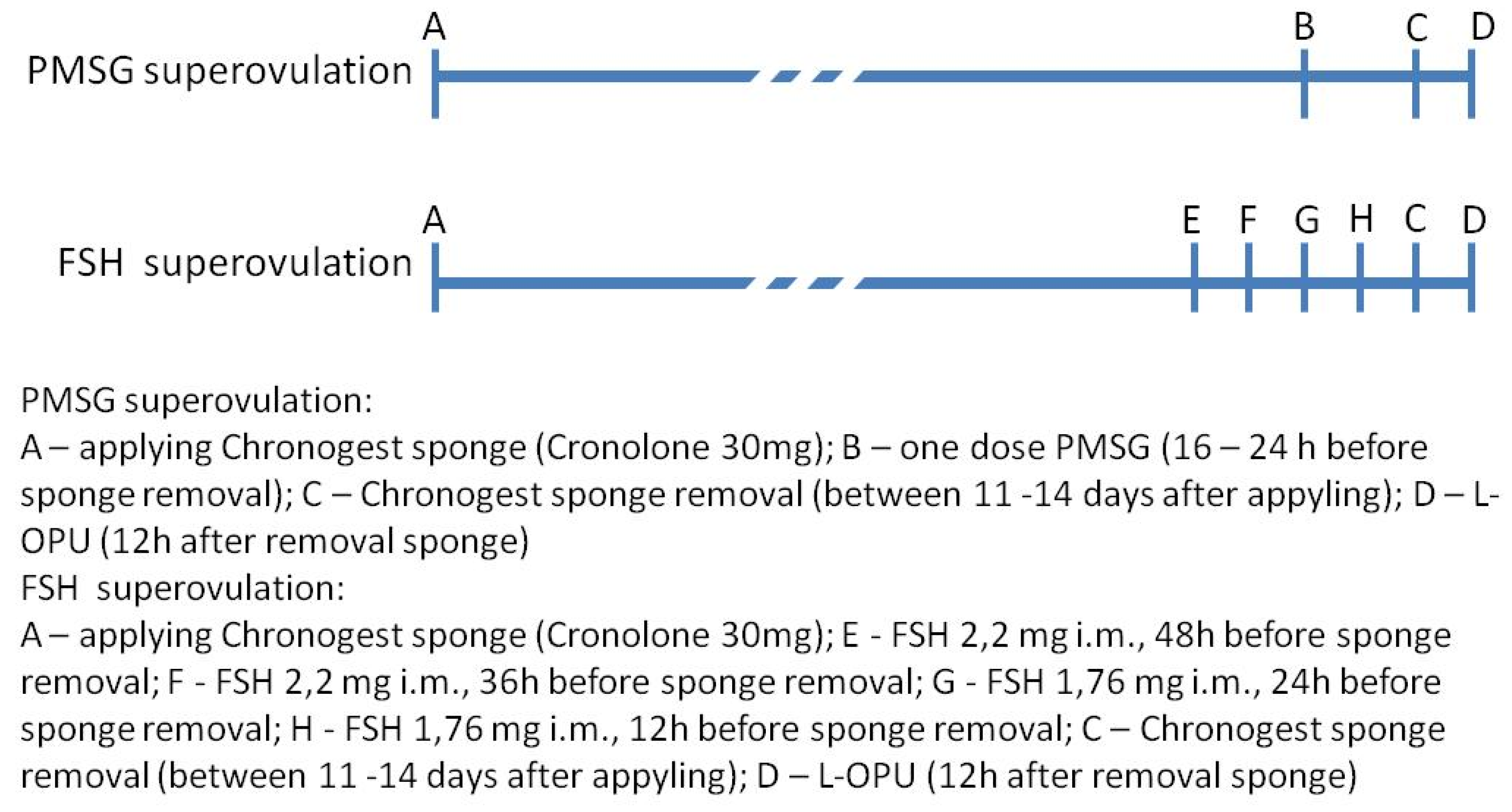 Animals Free Full Text L Opu In Goat And Sheep Different Variants Of The Oocyte Recovery Method Html