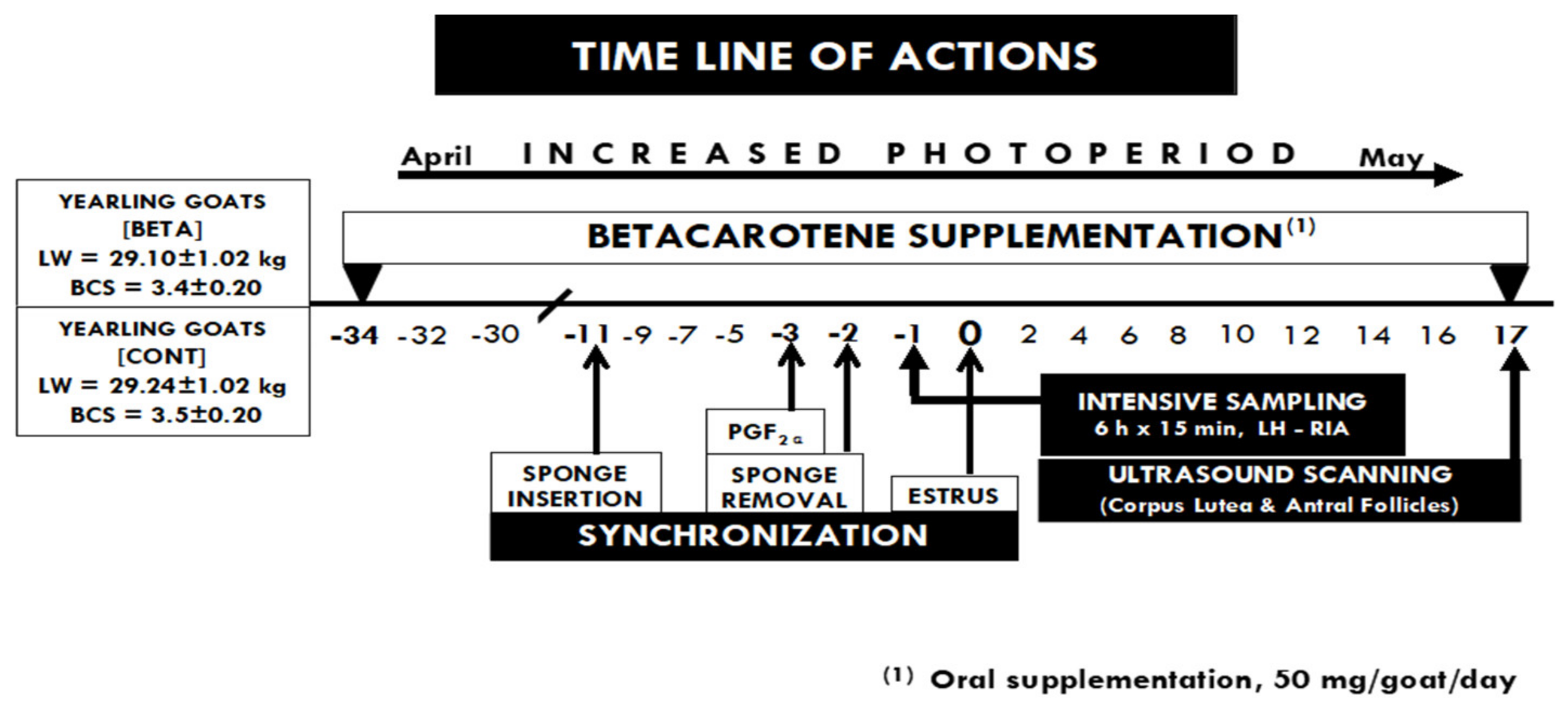 Animals 10 00659 g001