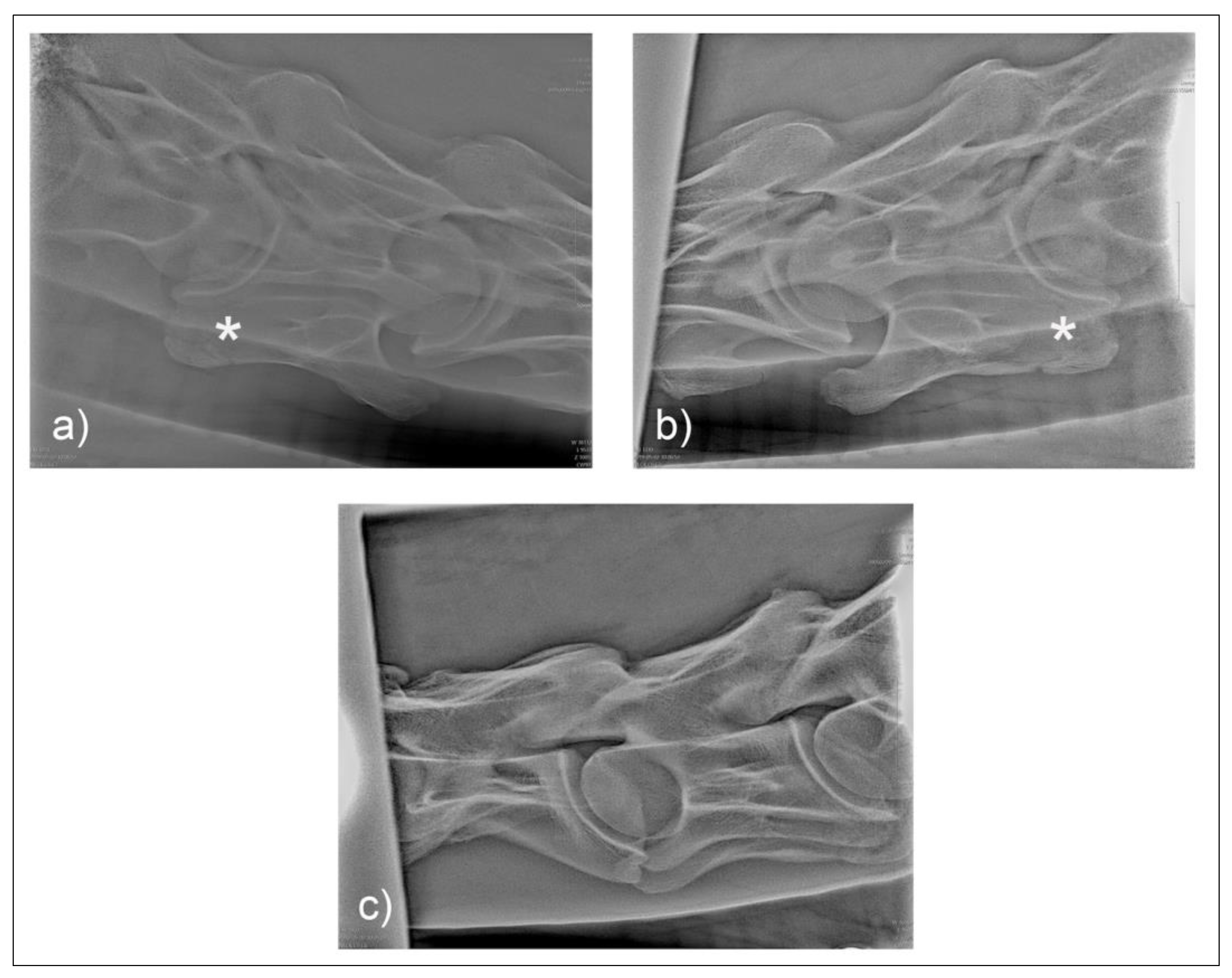 Animals 10 00667 g004