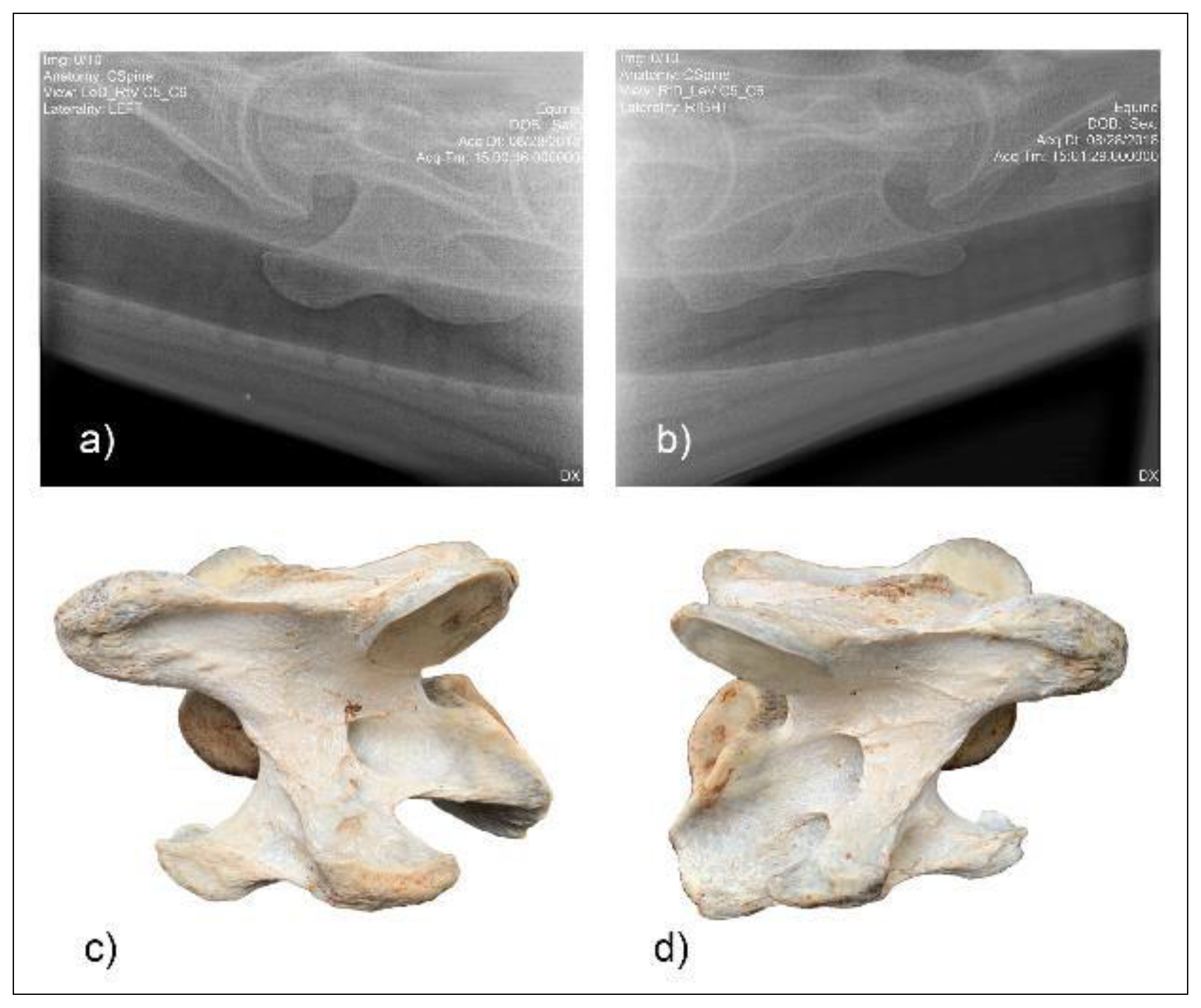 Animals 10 00667 g007