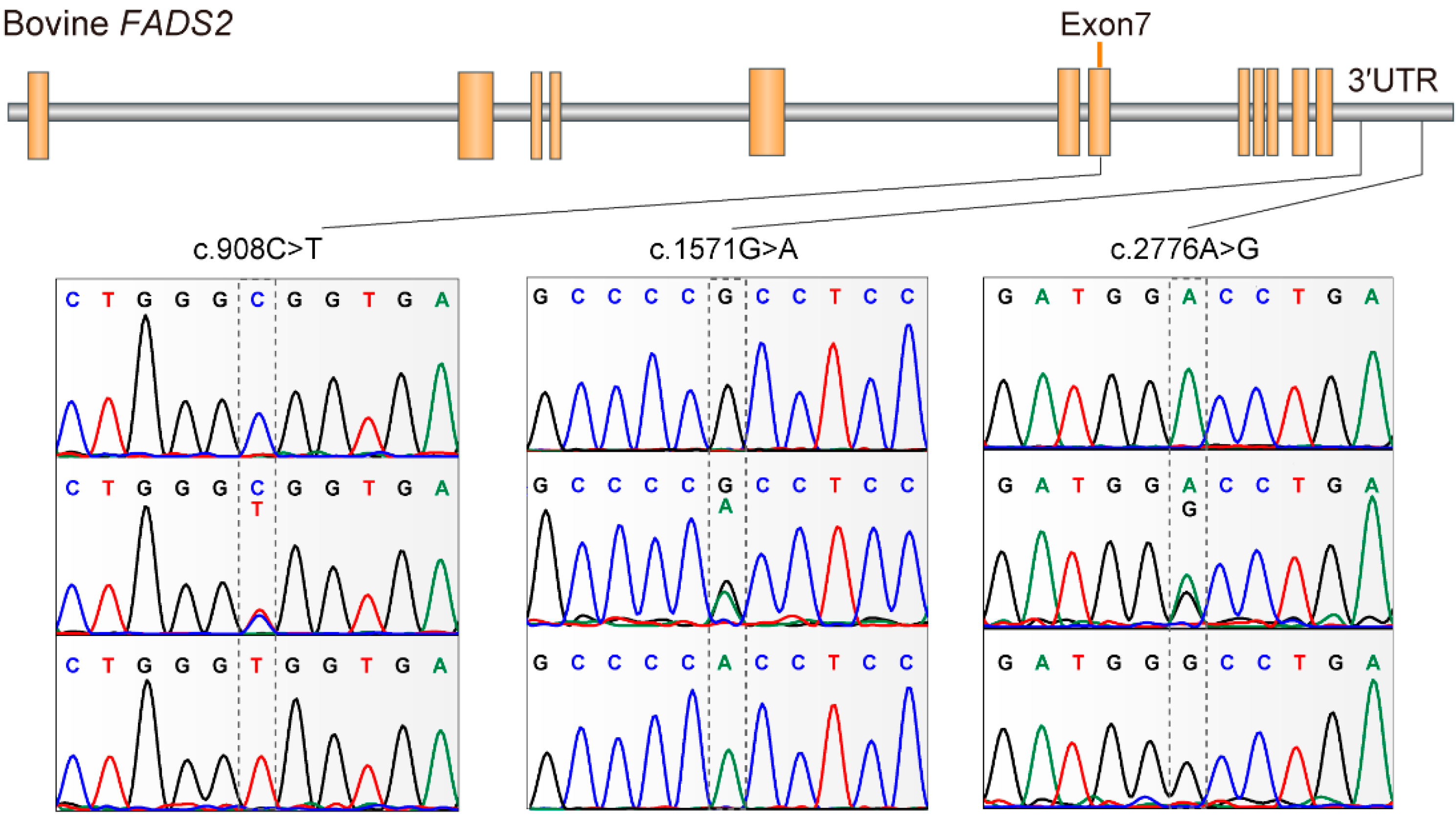 Animals 10 00671 g001